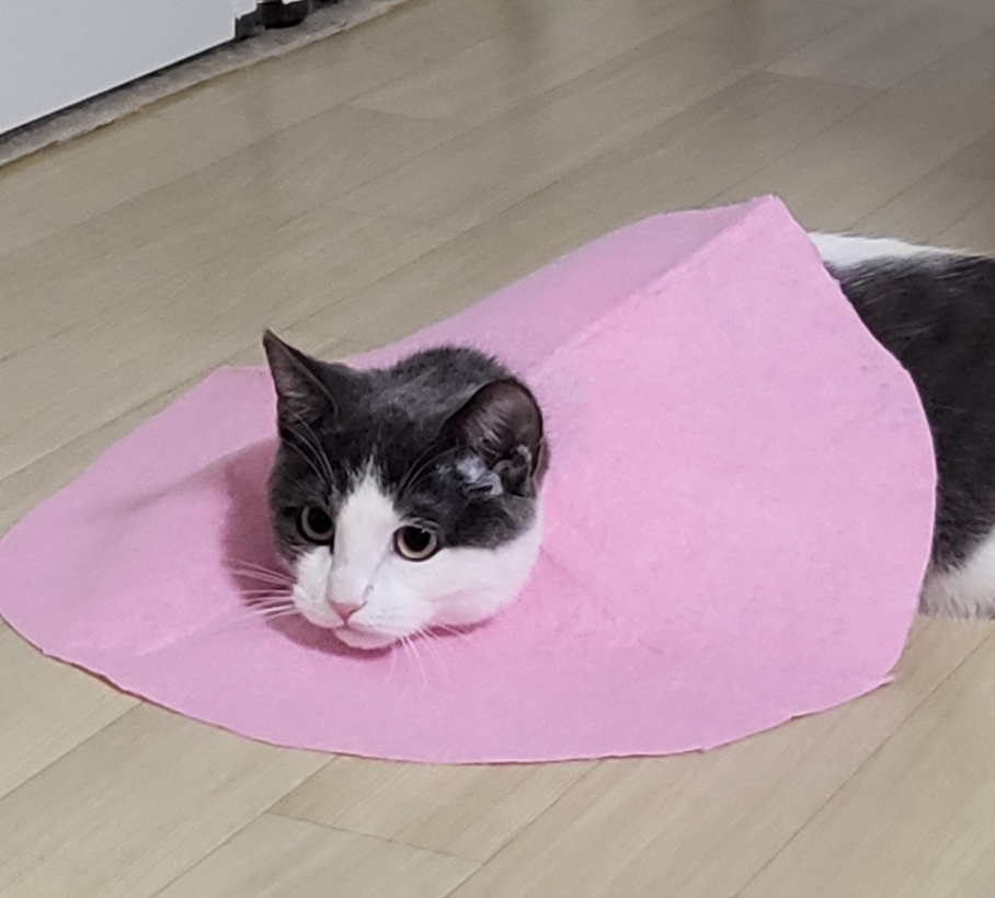 작성자 프로필 이미지