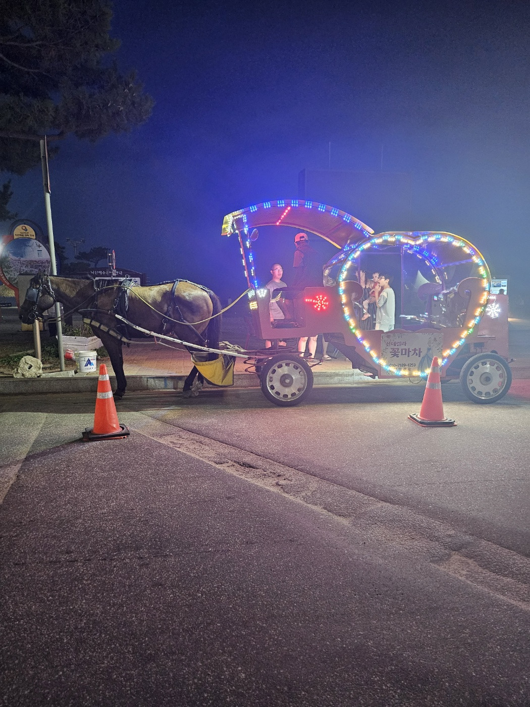 rex 프로필 이미지