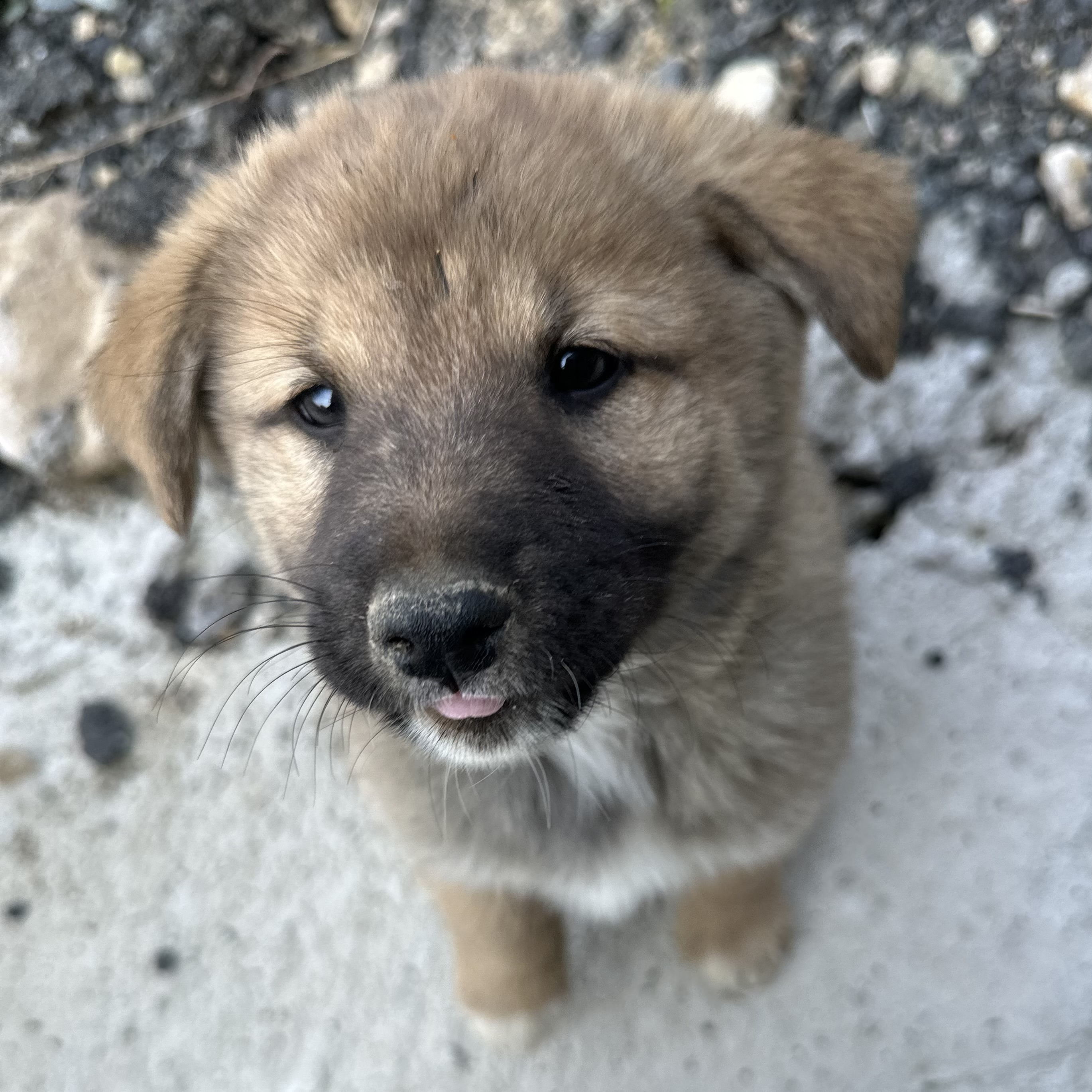 작성자 프로필 이미지