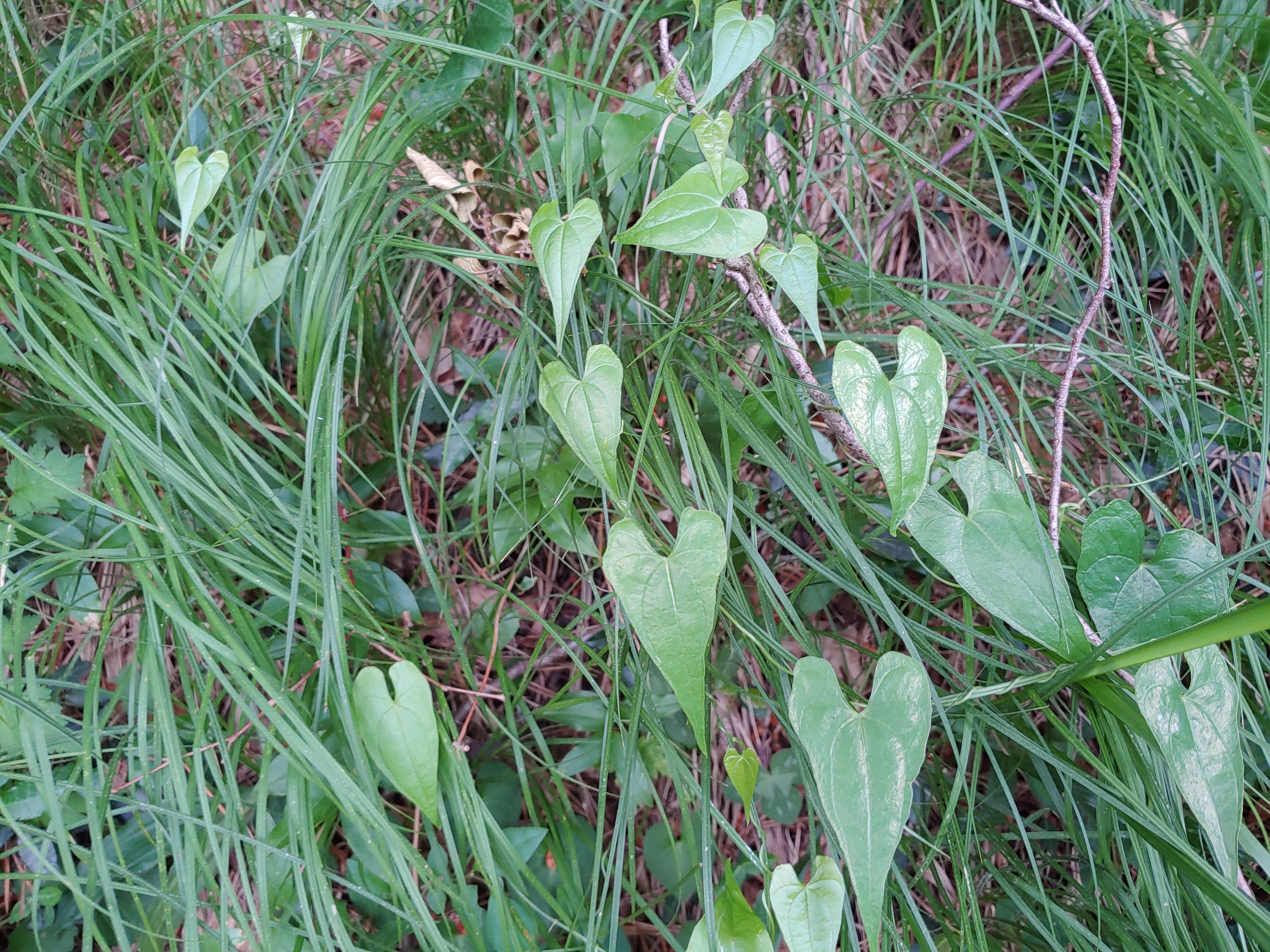 작성자 프로필 이미지