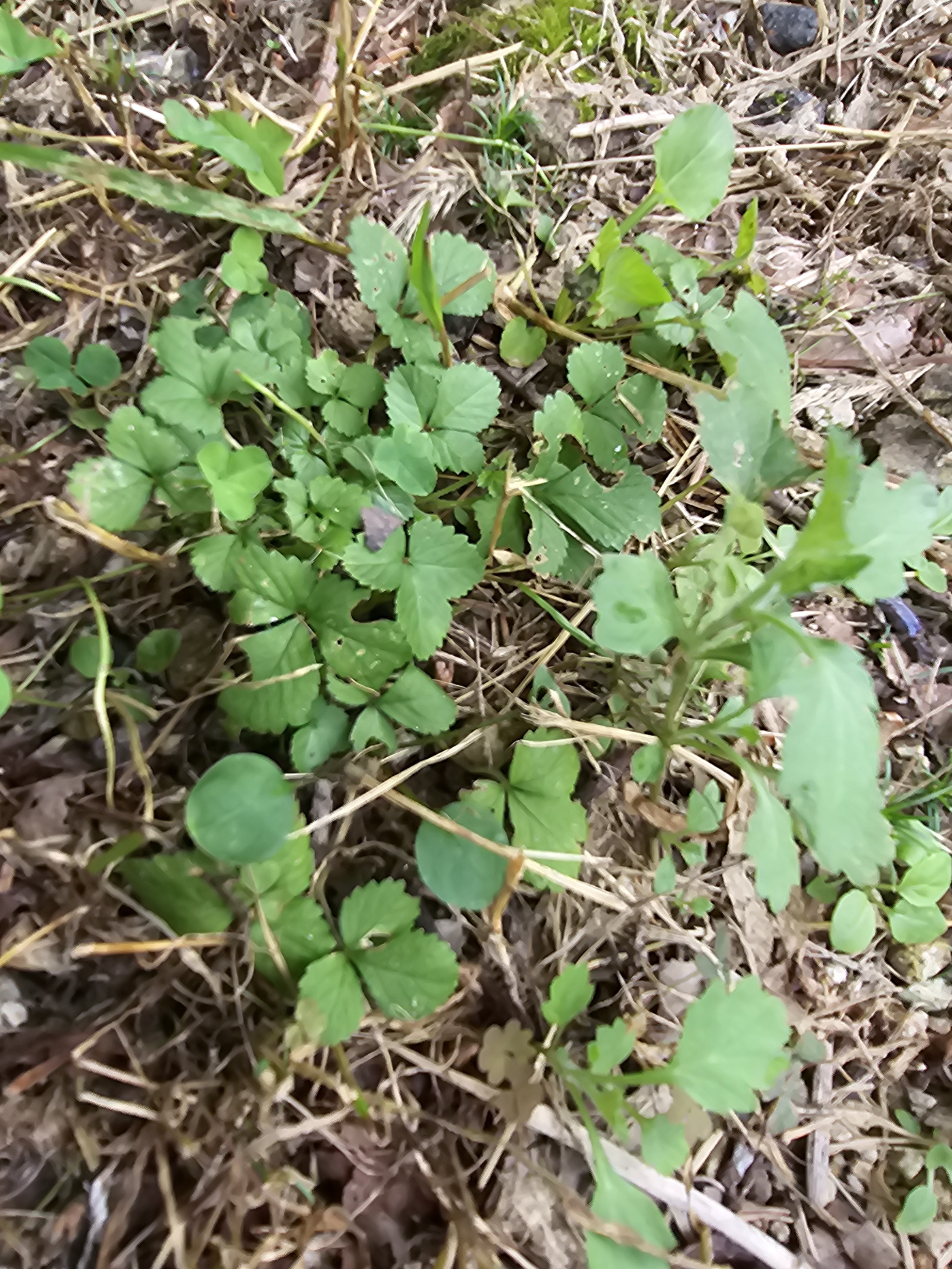 작성자 프로필 이미지