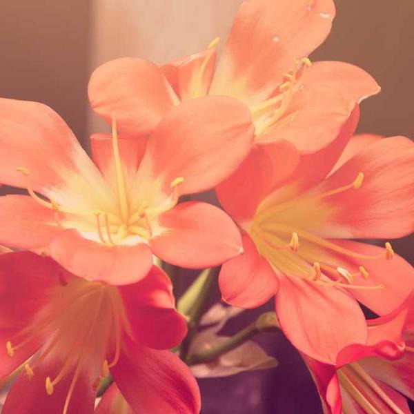 작성자 프로필 이미지