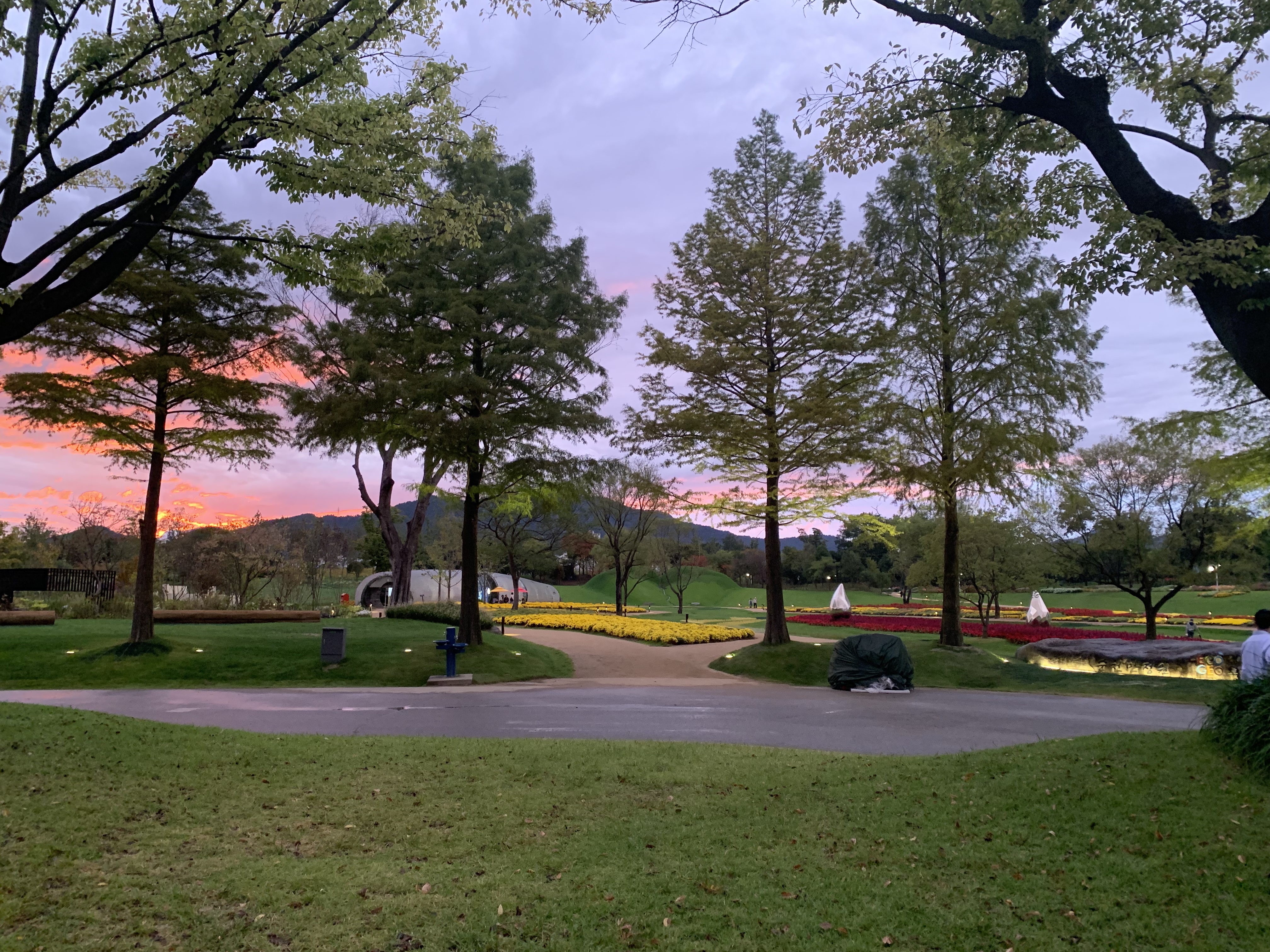 작성자 프로필 이미지