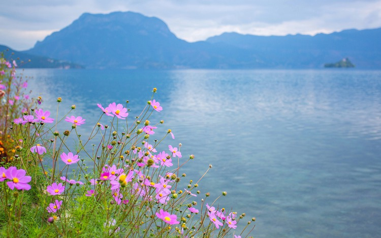 작성자 프로필 이미지