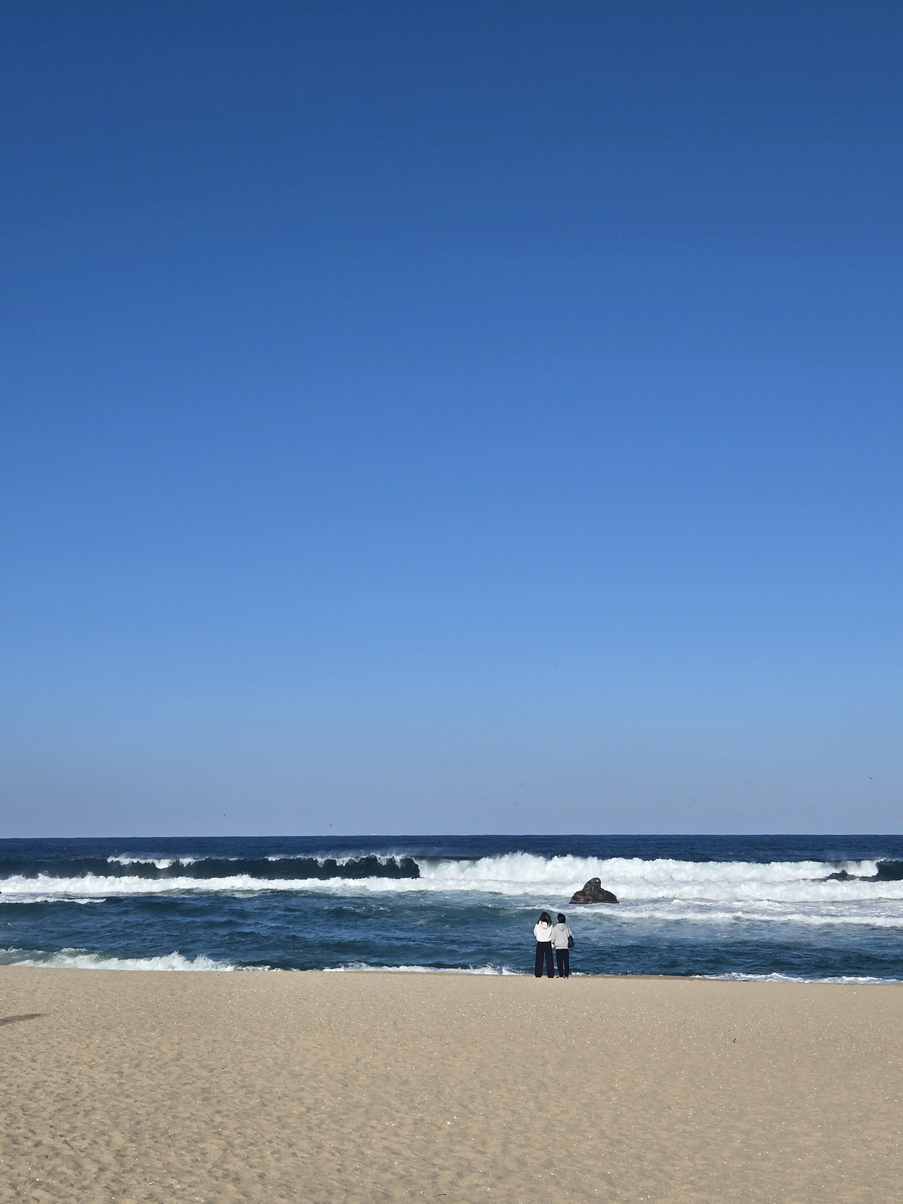 작성자 프로필 이미지