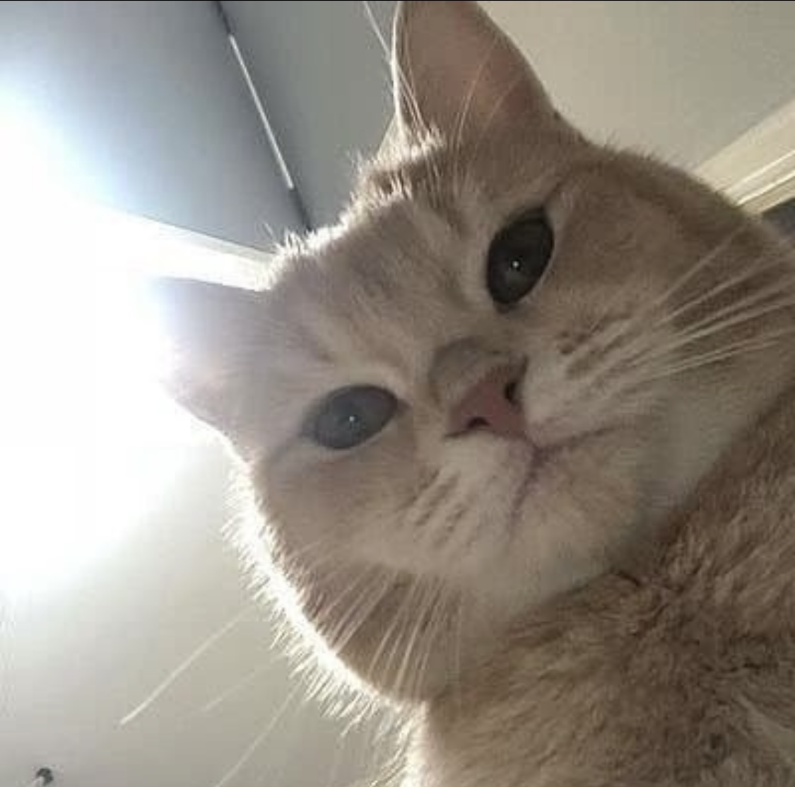 작성자 프로필 이미지