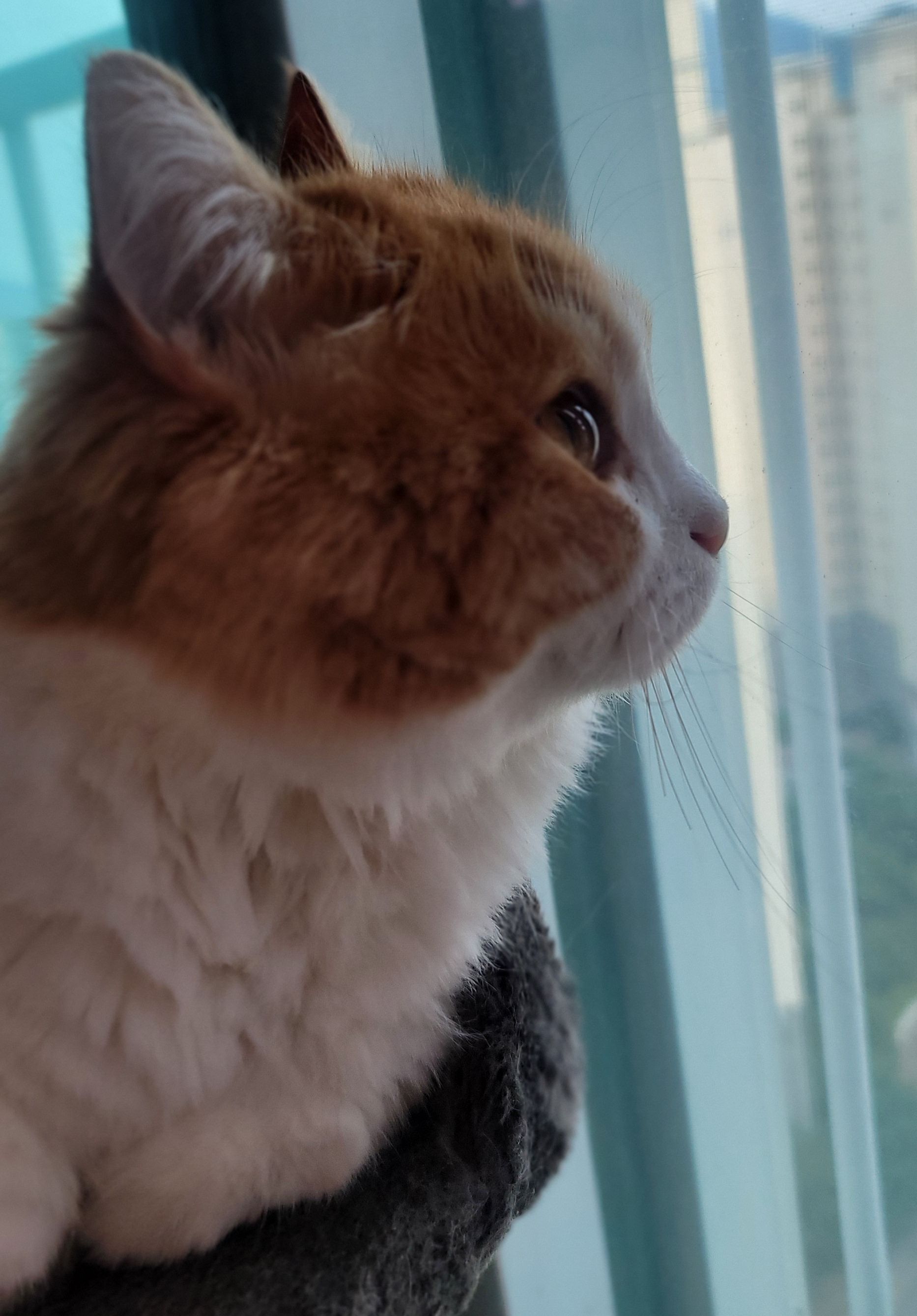 작성자 프로필 이미지