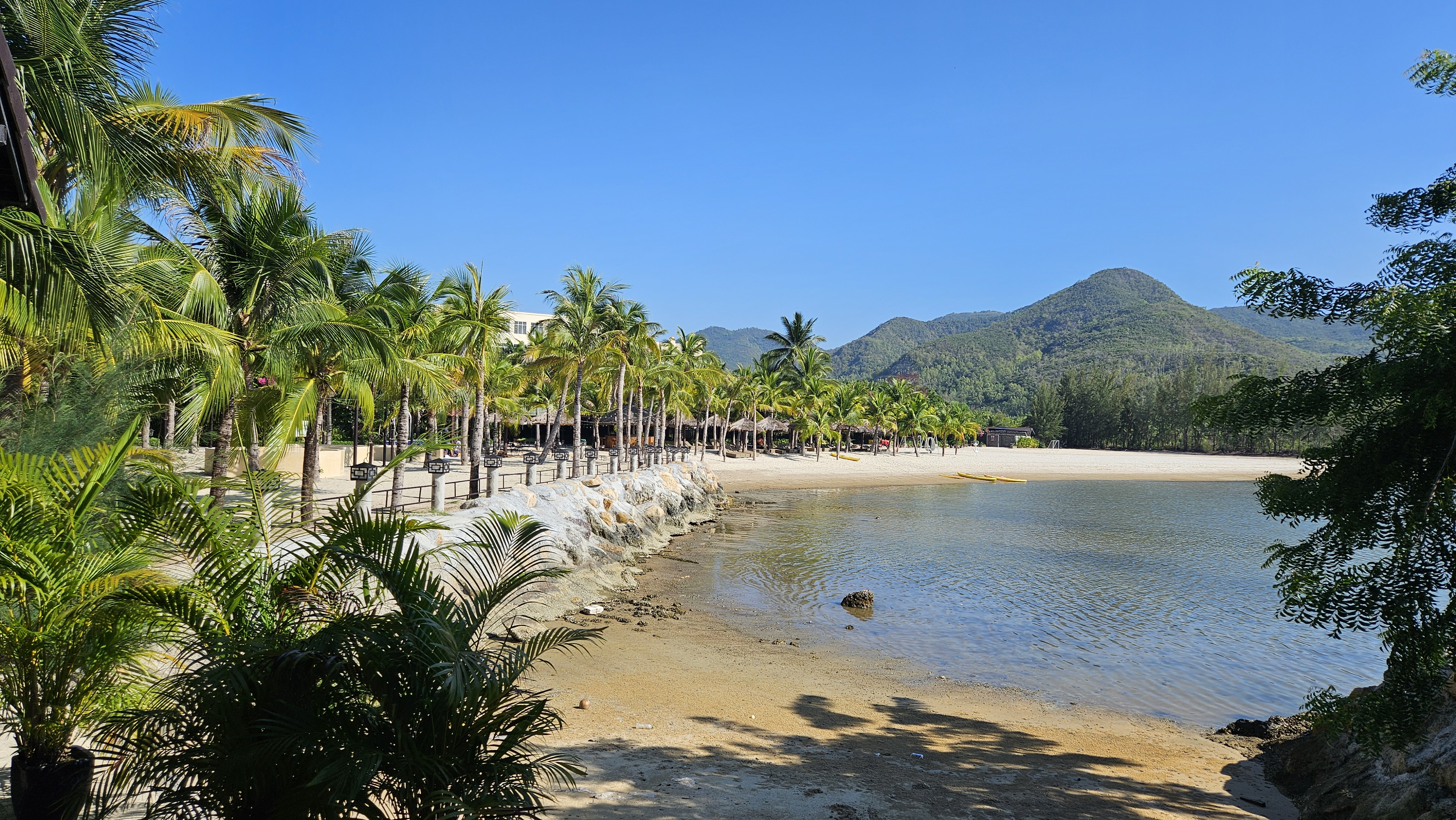 작성자 프로필 이미지