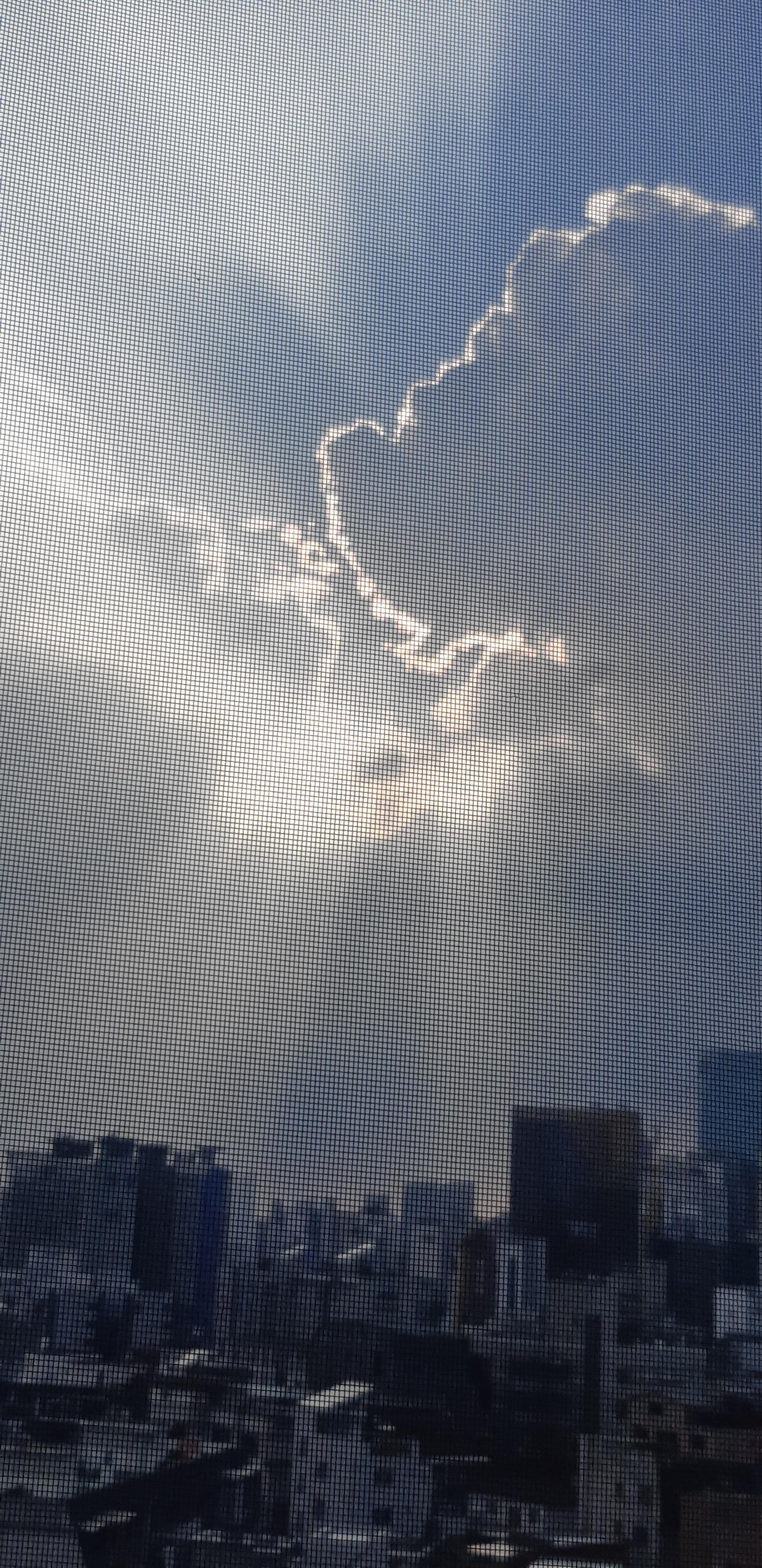 작성자 프로필 이미지