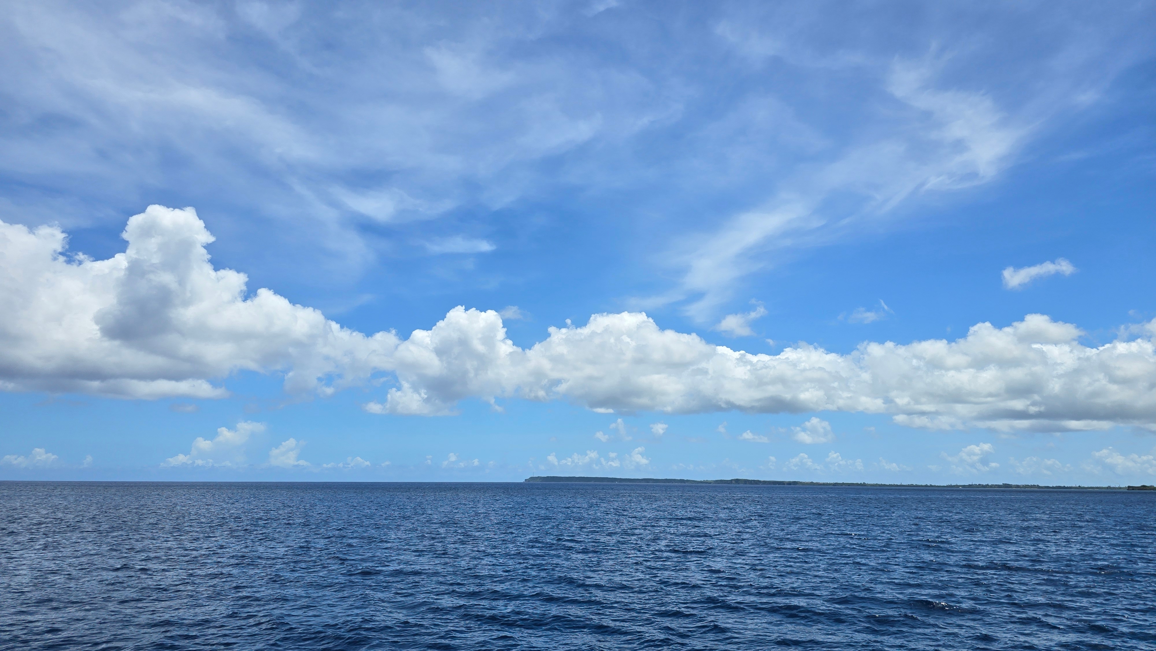 작성자 프로필 이미지