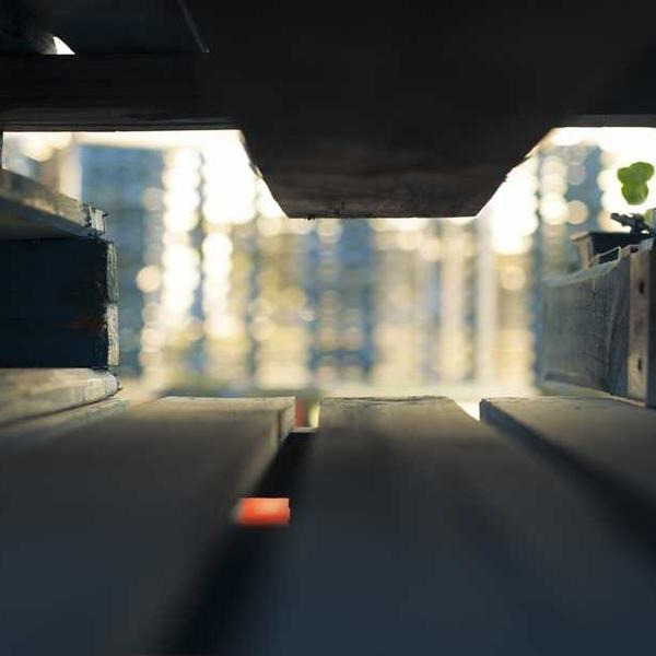 작성자 프로필 이미지