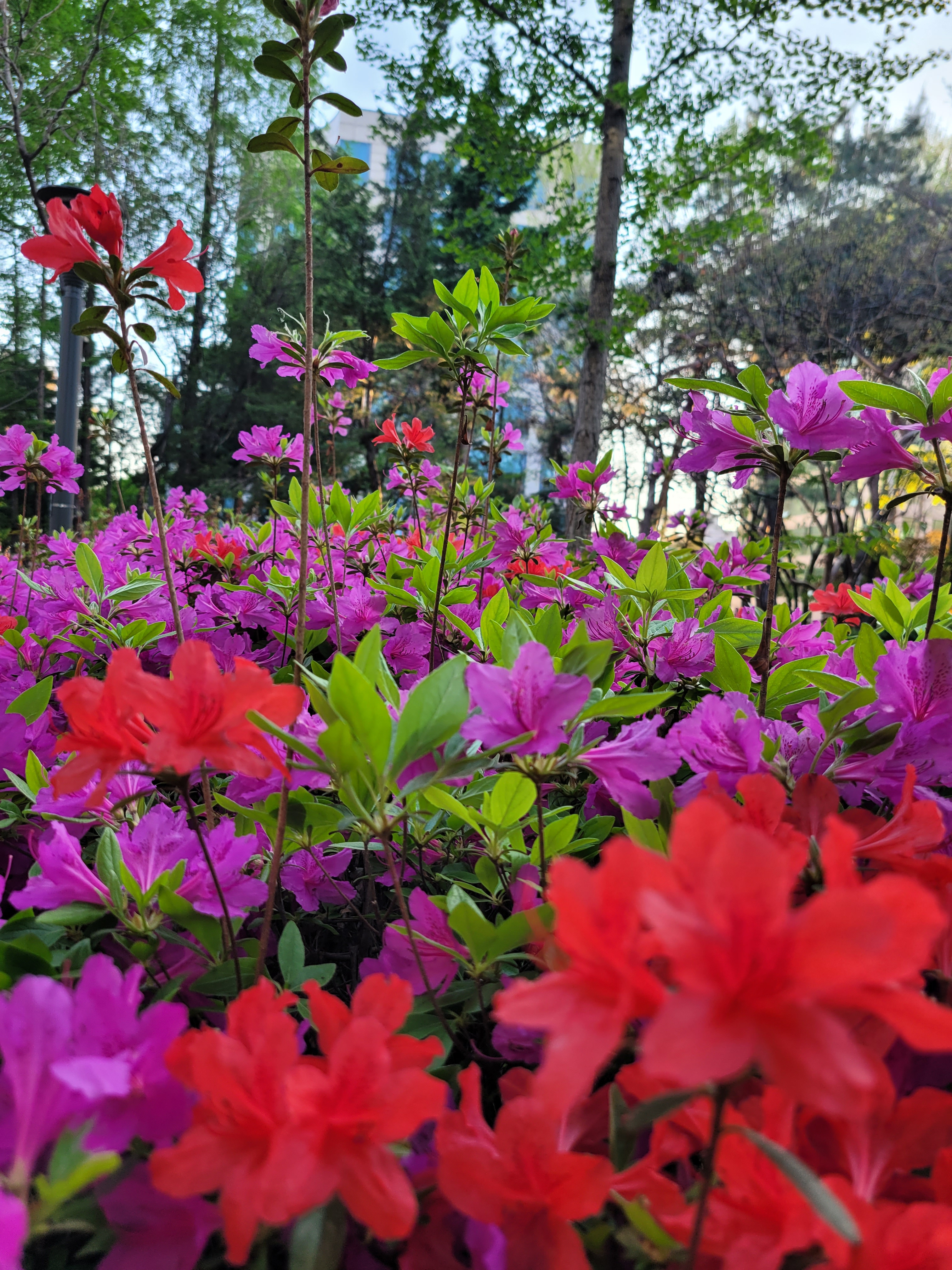 나풀나풀674876 프로필 이미지