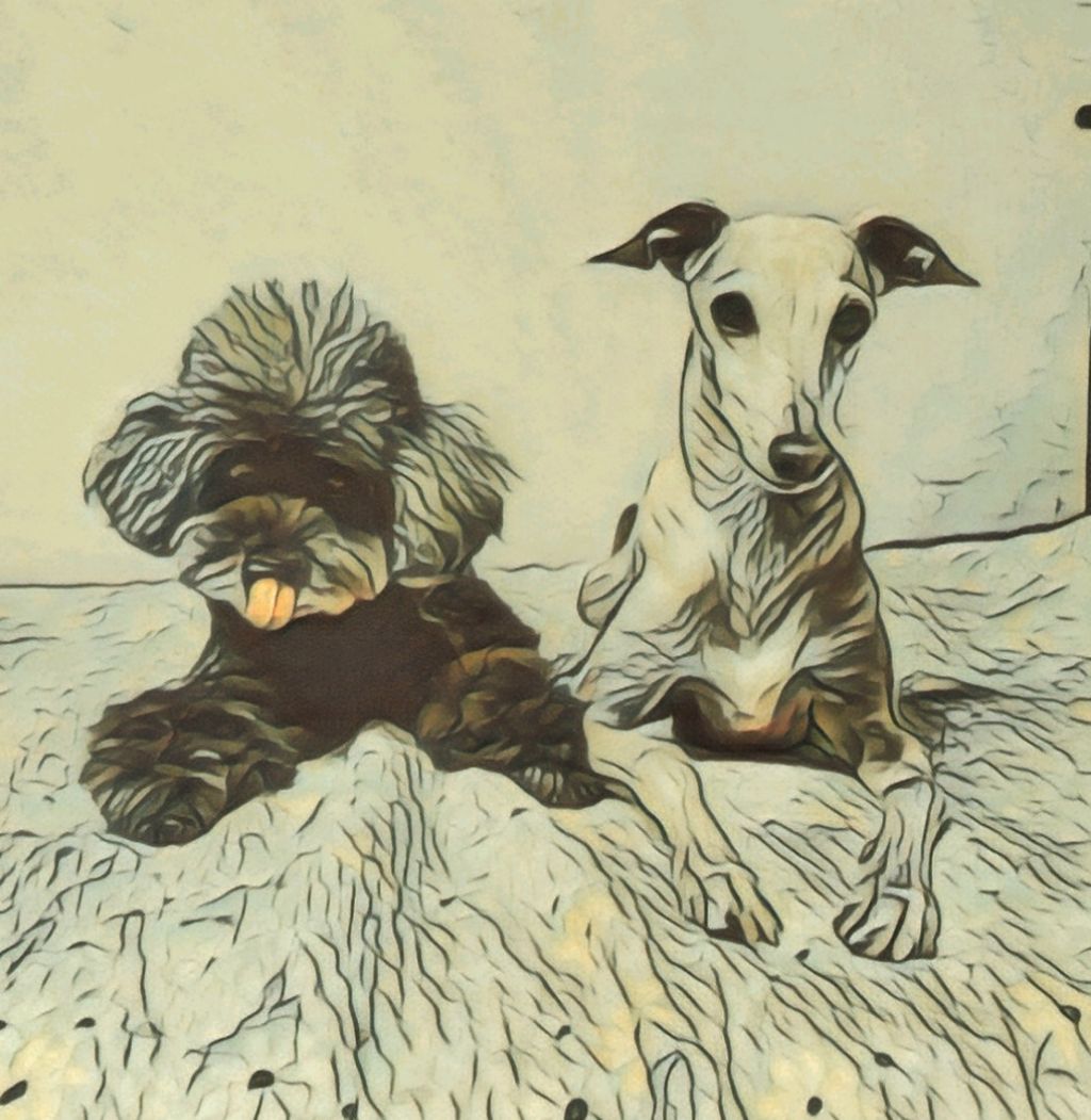 작성자 프로필 이미지