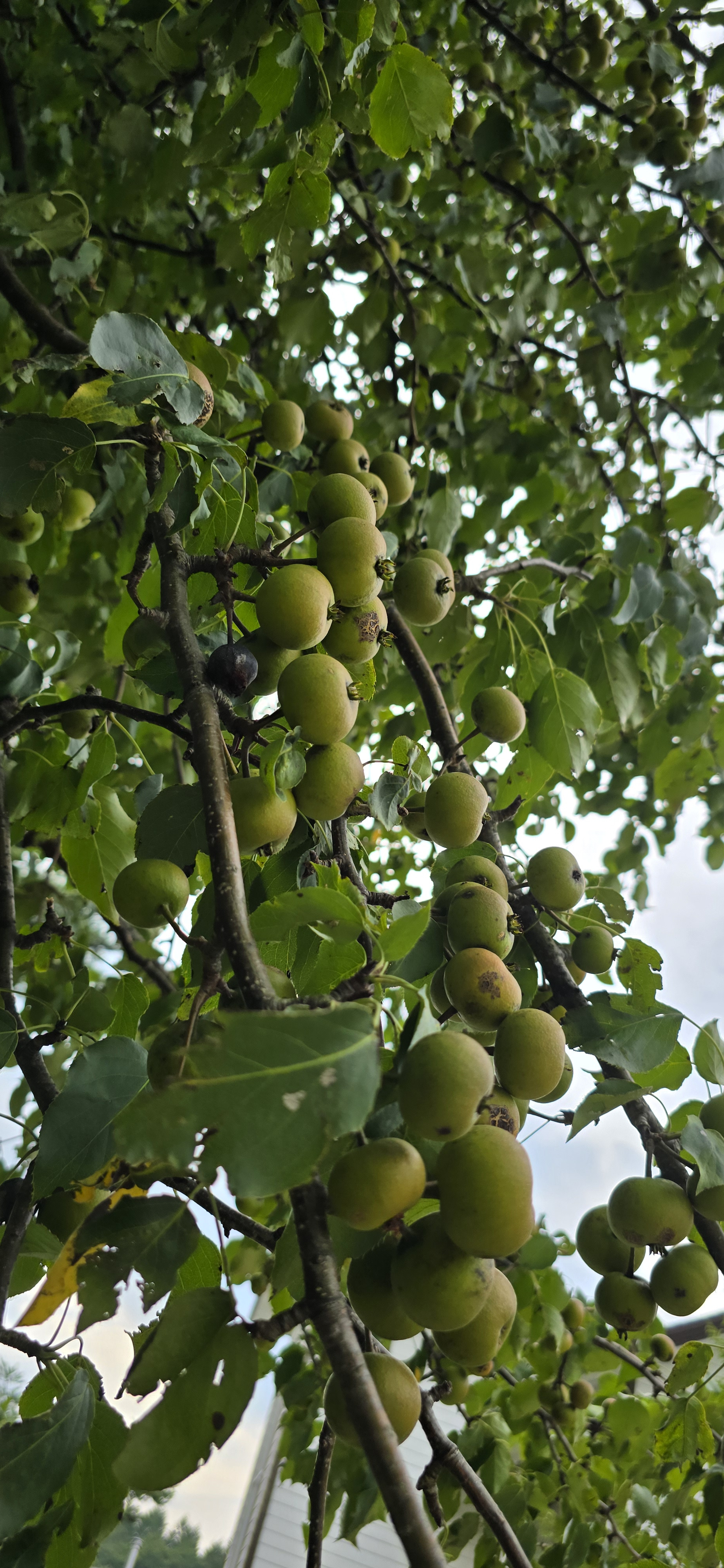 작성자 프로필 이미지