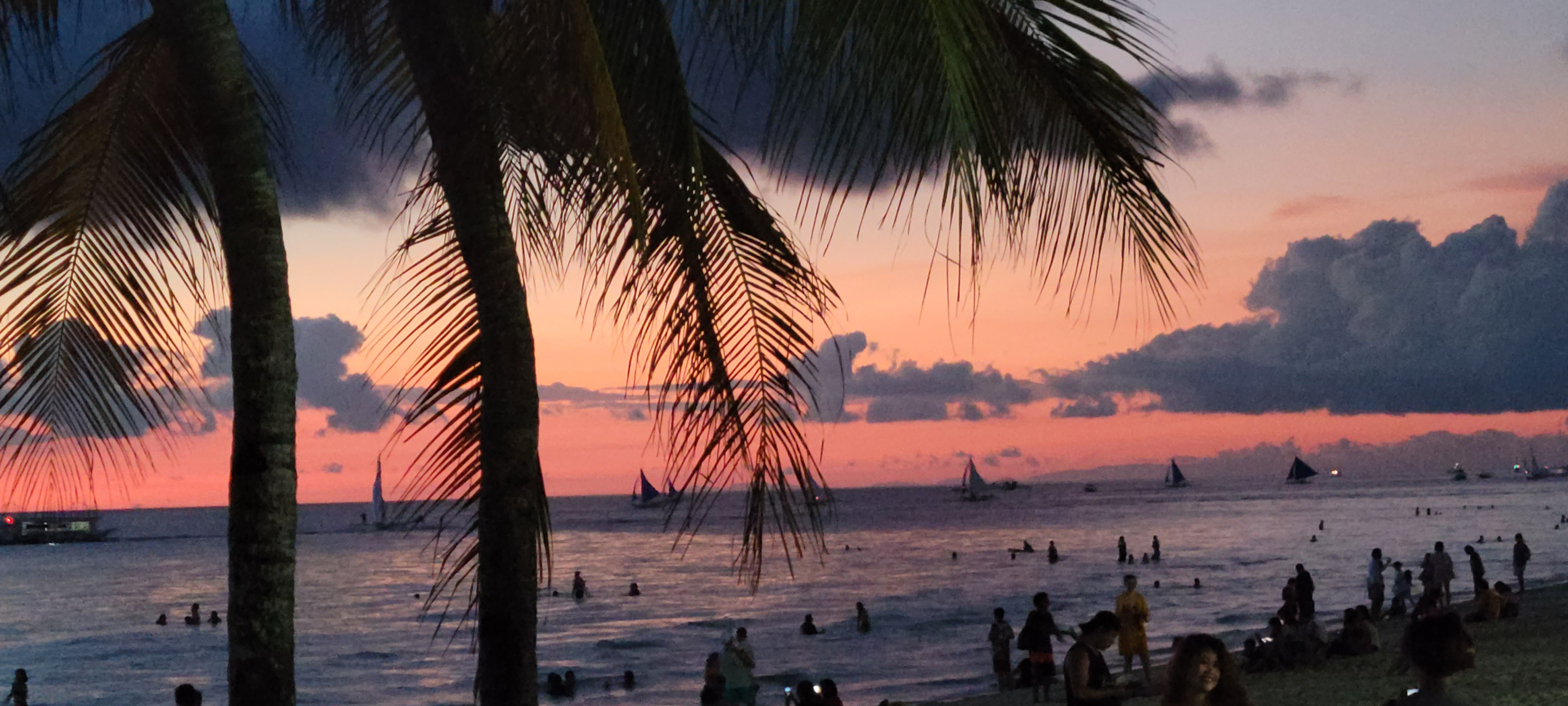 작성자 프로필 이미지