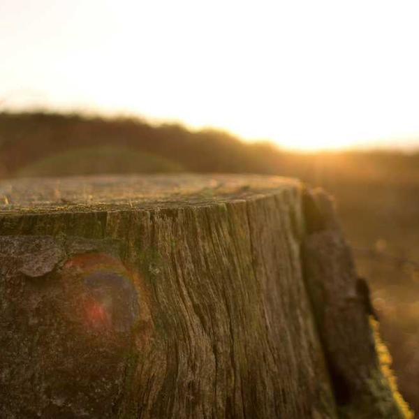 작성자 프로필 이미지