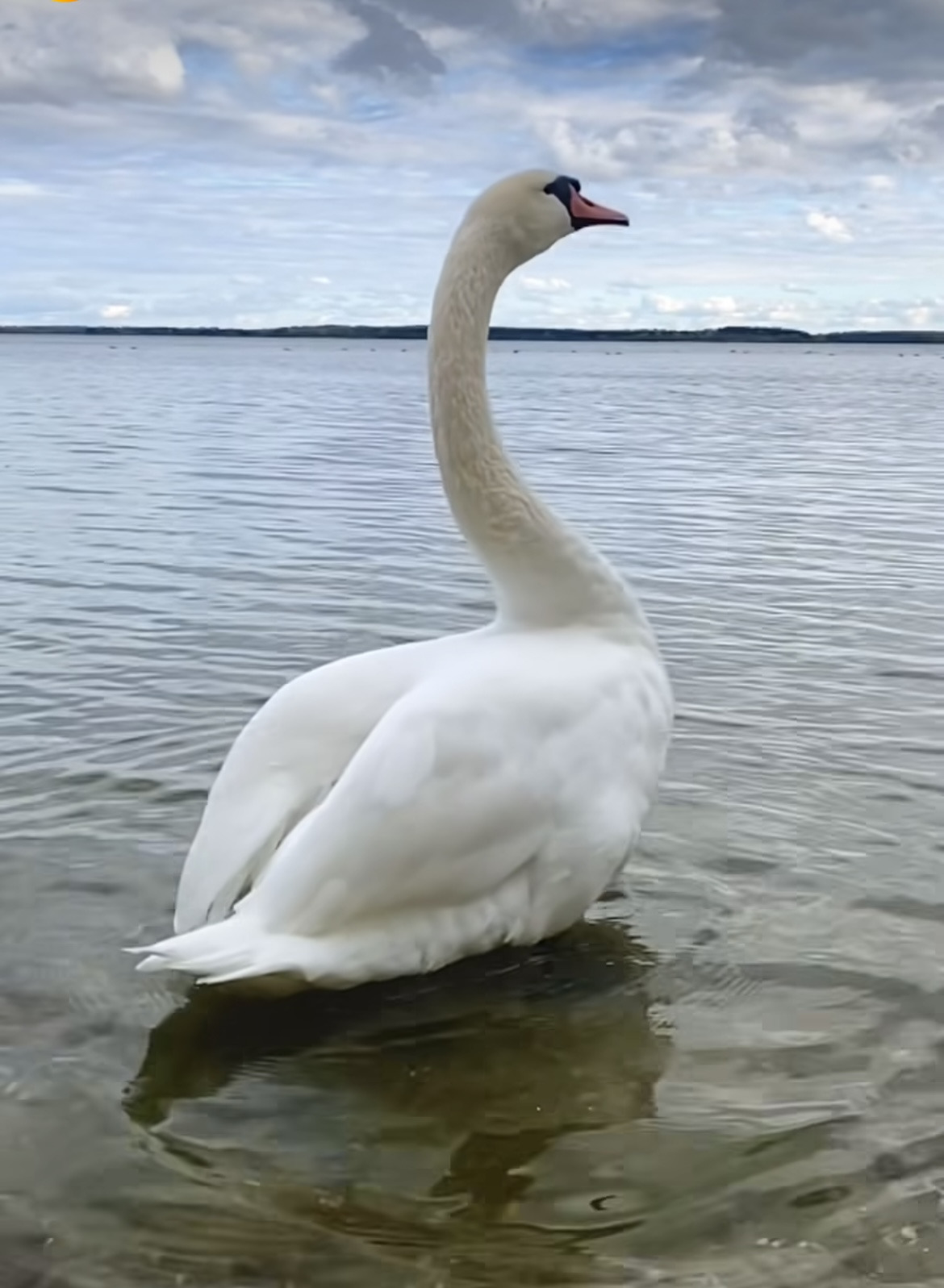 작성자 프로필 이미지