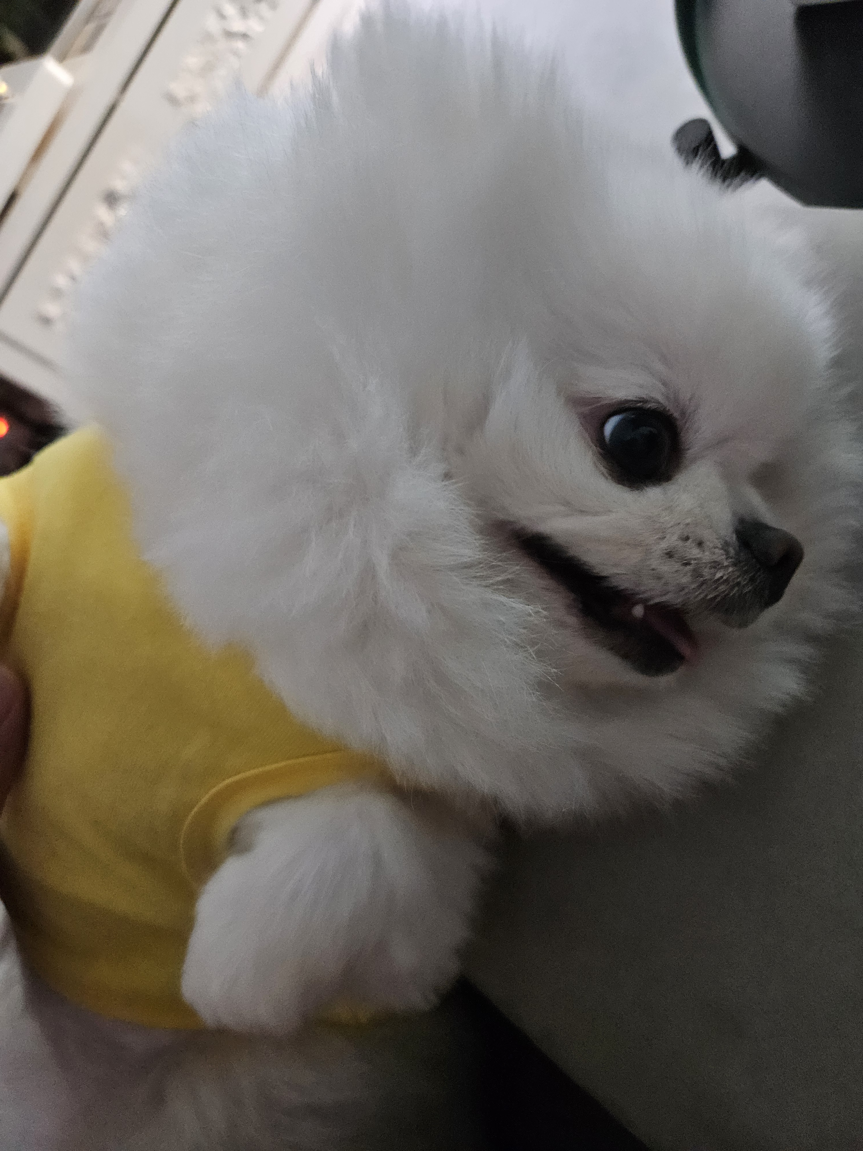 Harry1800 프로필 이미지