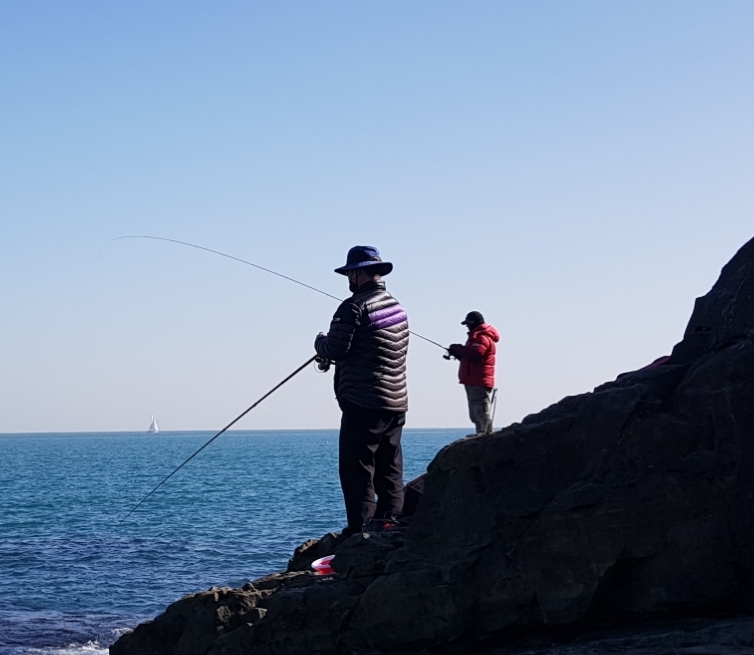 작성자 프로필 이미지