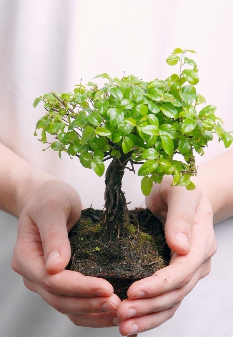 작성자 프로필 이미지