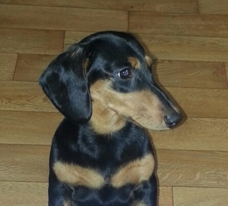 작성자 프로필 이미지