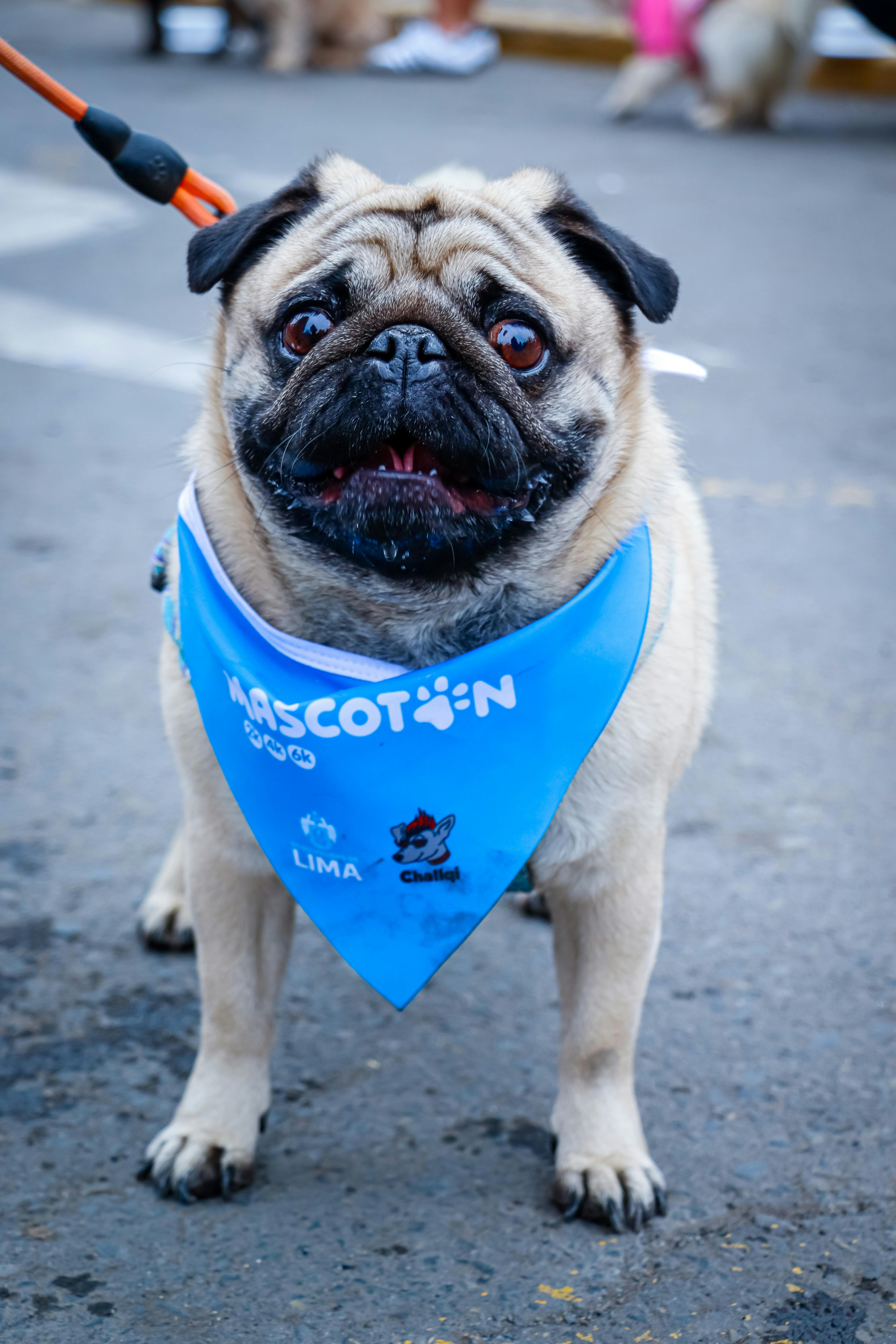 작성자 프로필 이미지