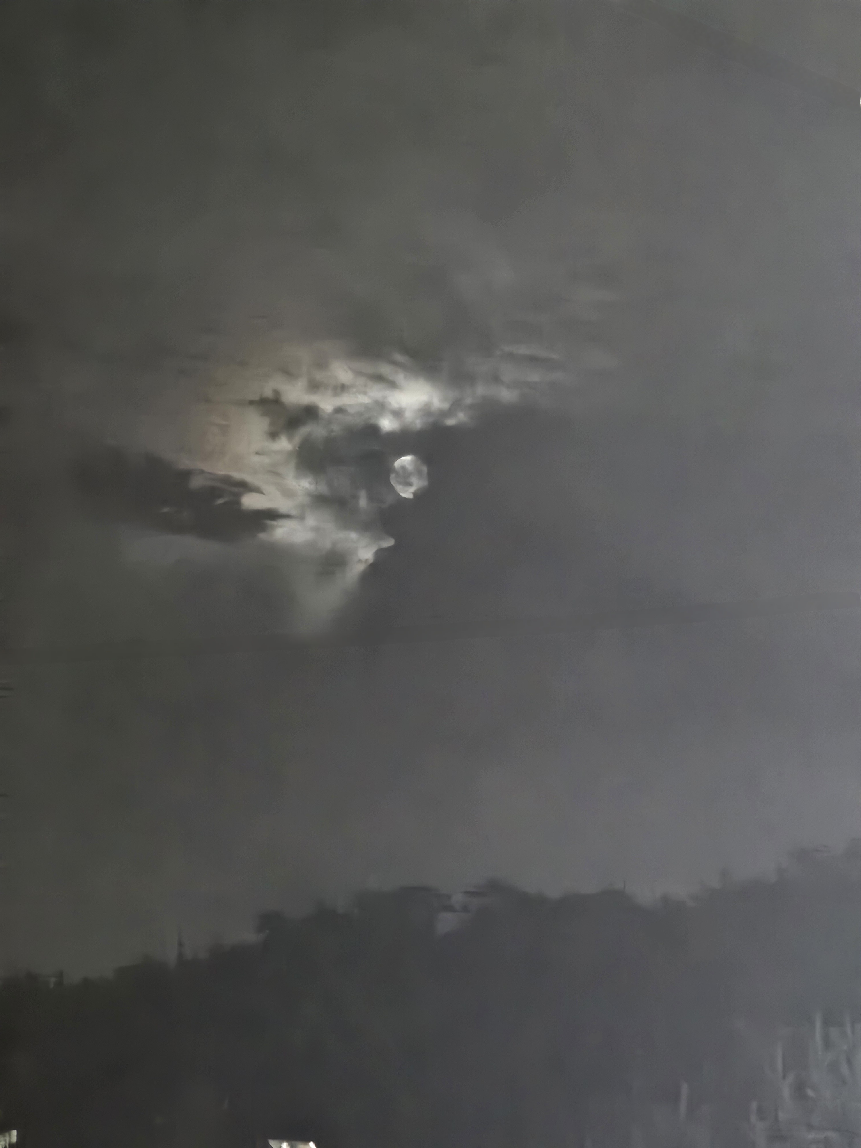 작성자 프로필 이미지