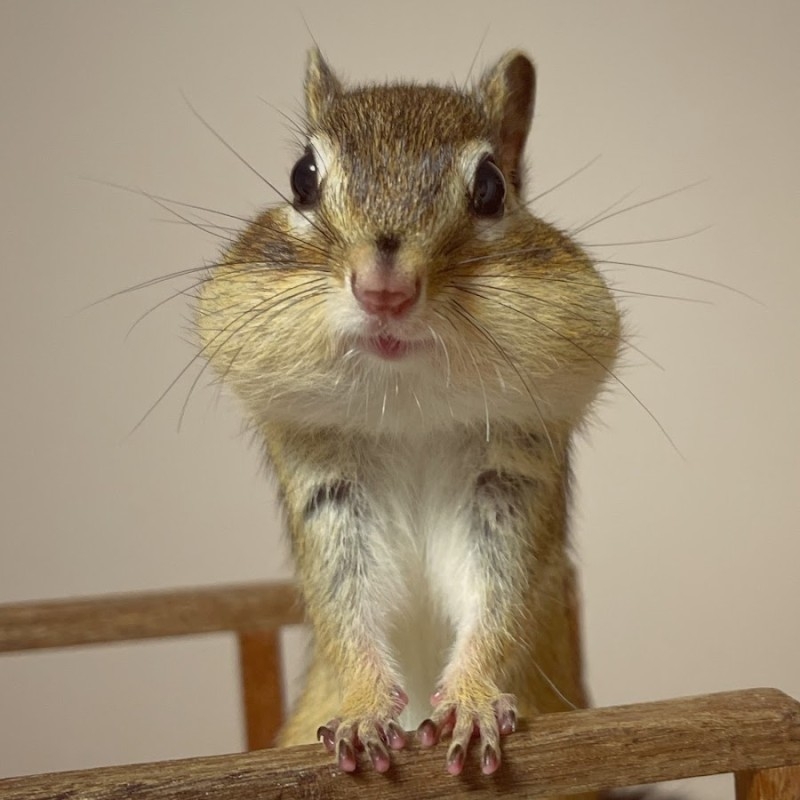 작성자 프로필 이미지