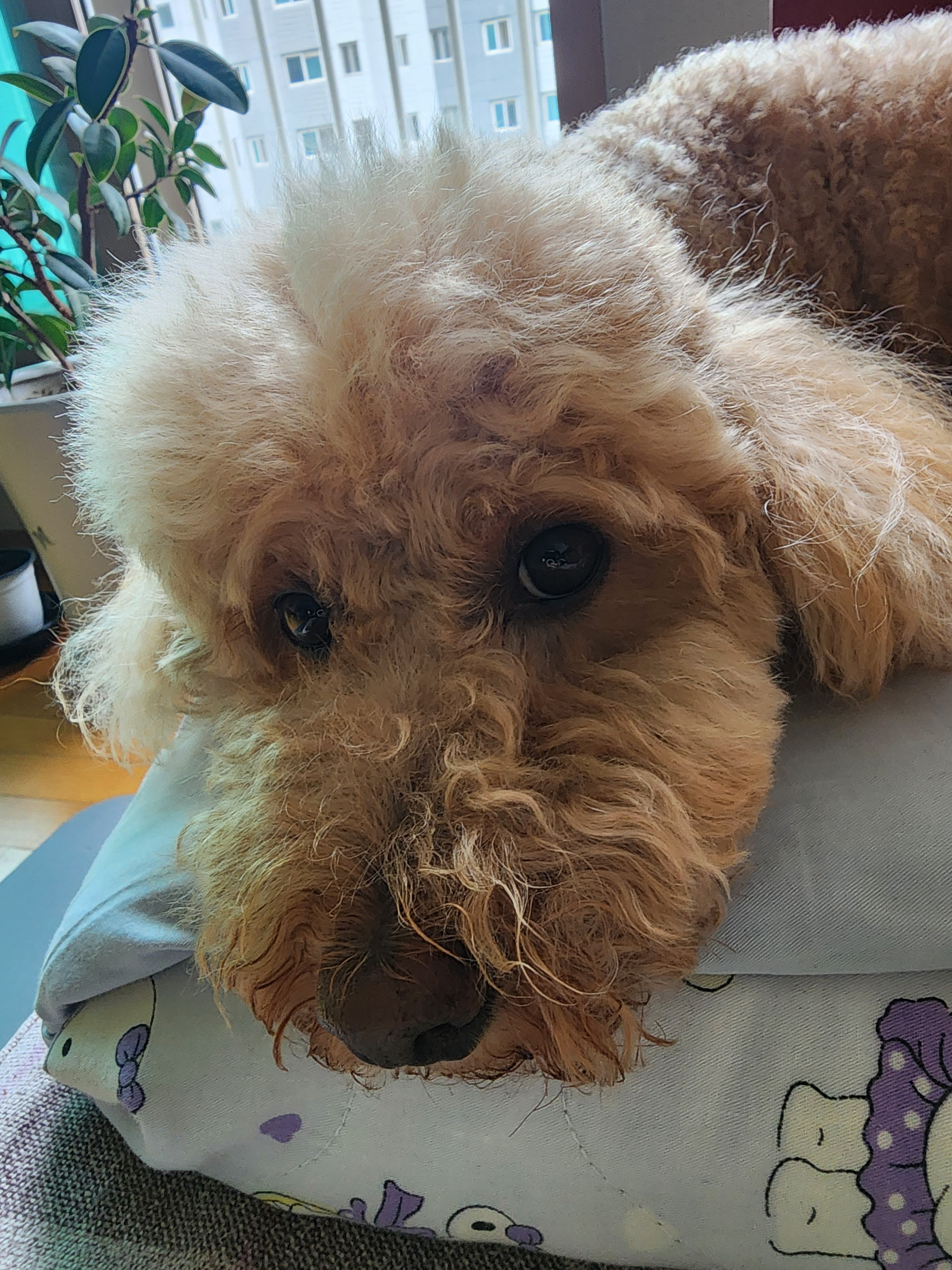 작성자 프로필 이미지