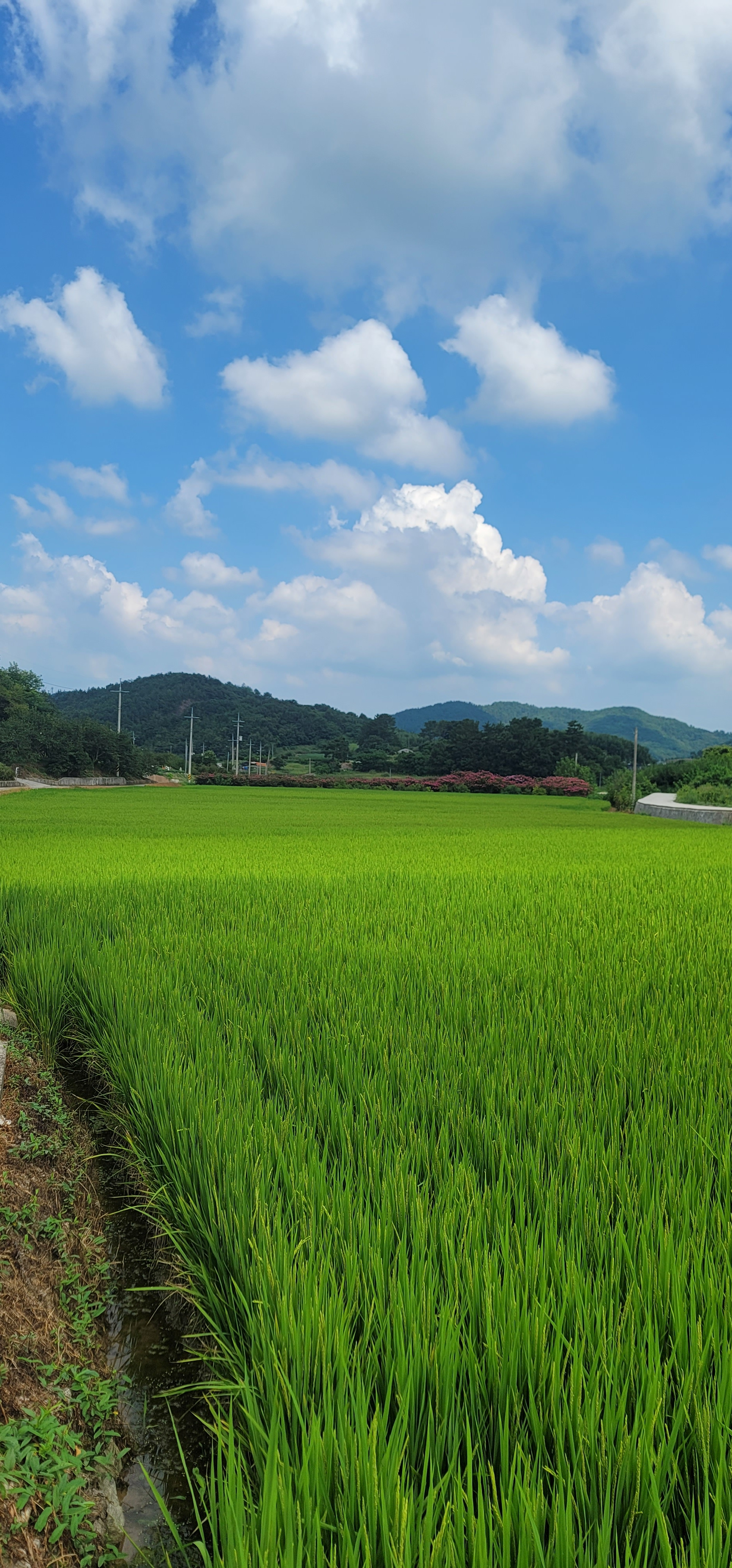 작성자 프로필 이미지