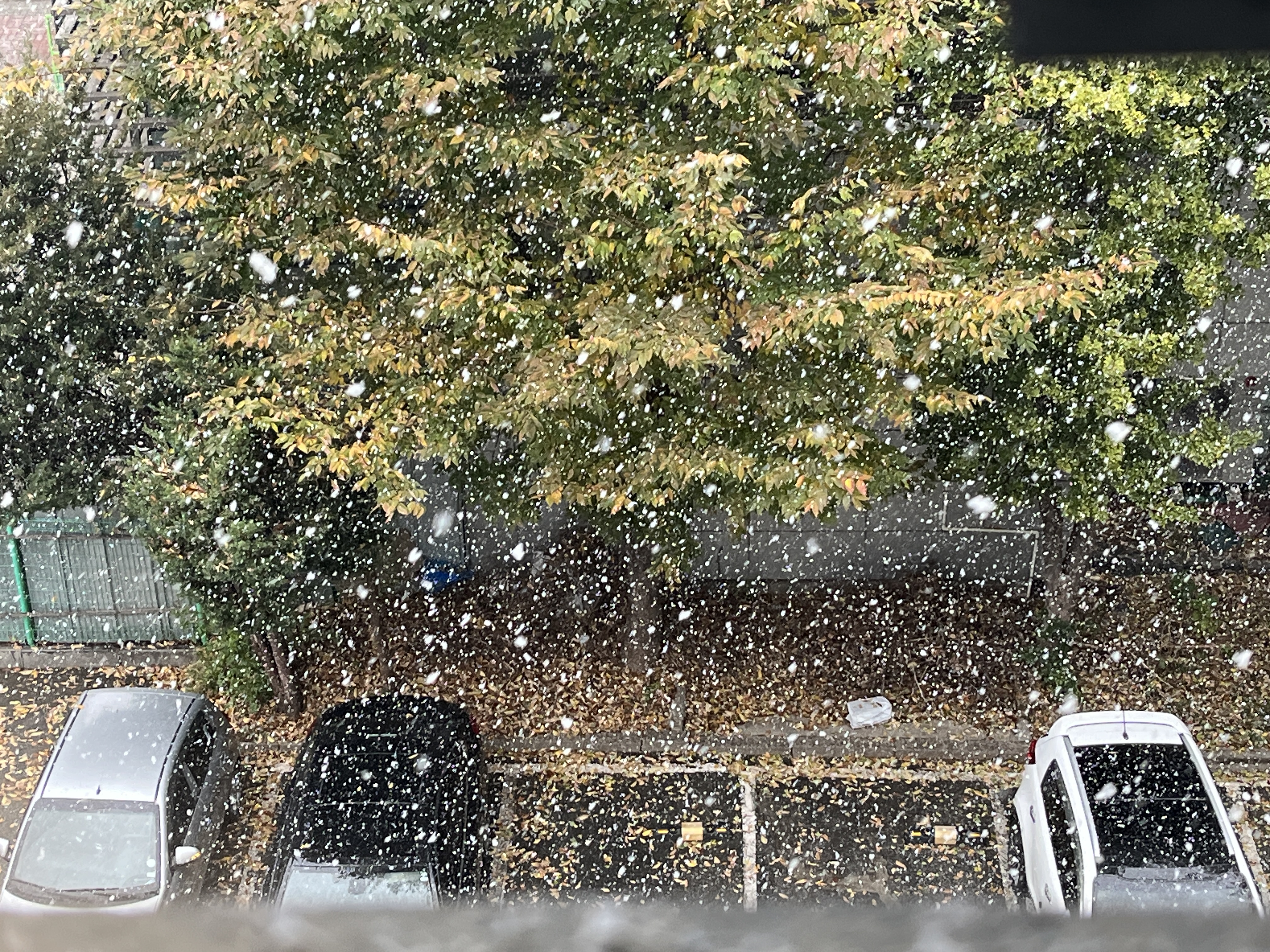 작성자 프로필 이미지