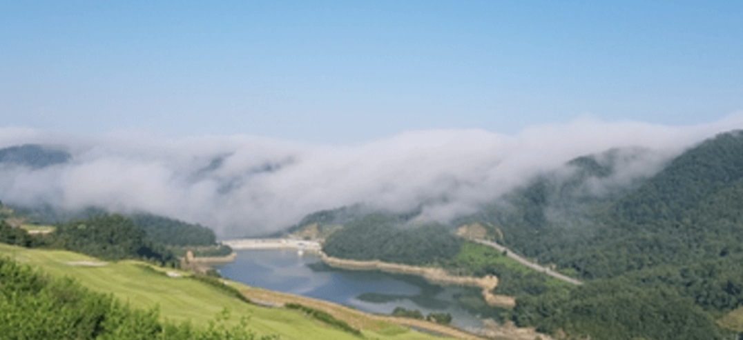 작성자 프로필 이미지