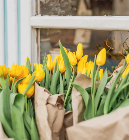 작성자 프로필 이미지