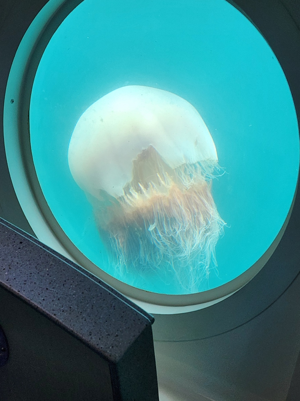 작성자 프로필 이미지