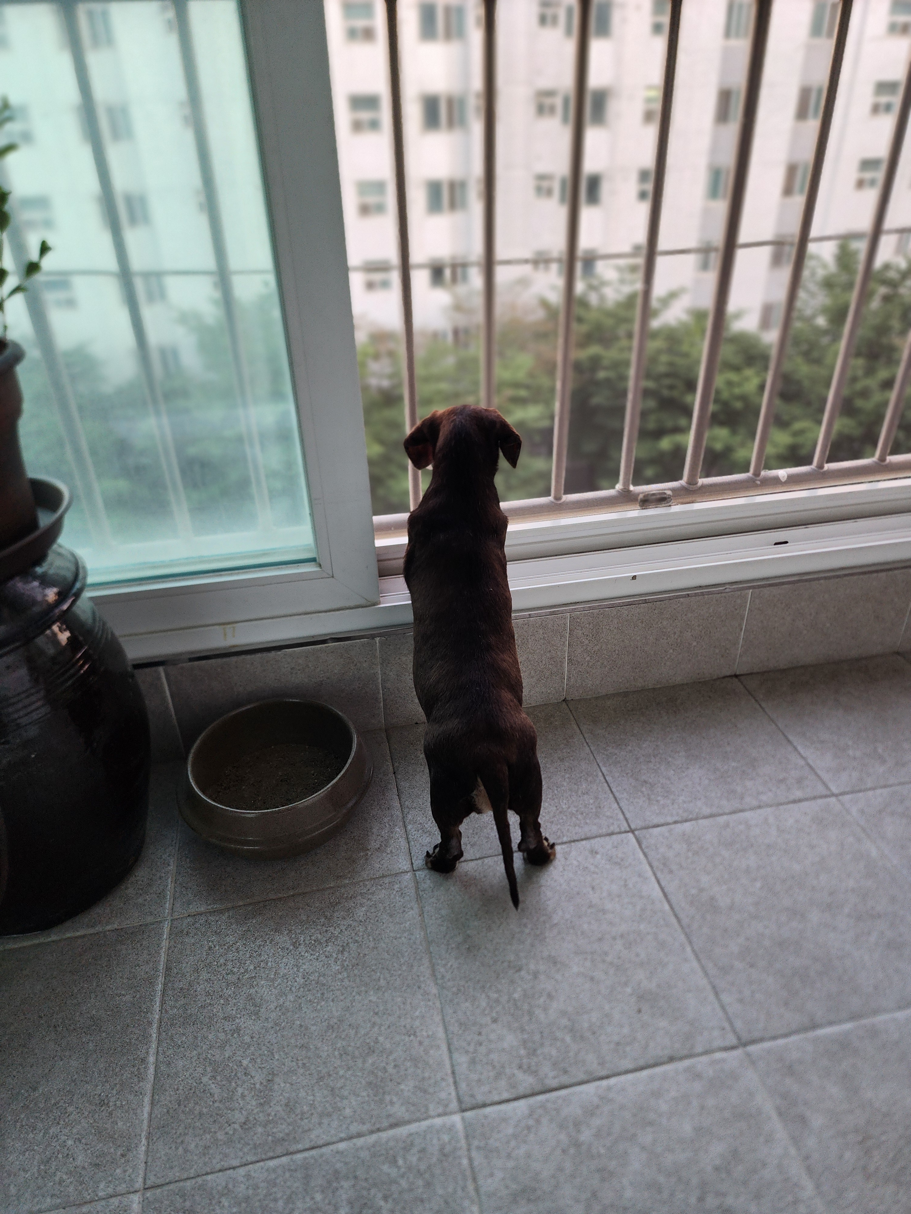 작성자 프로필 이미지