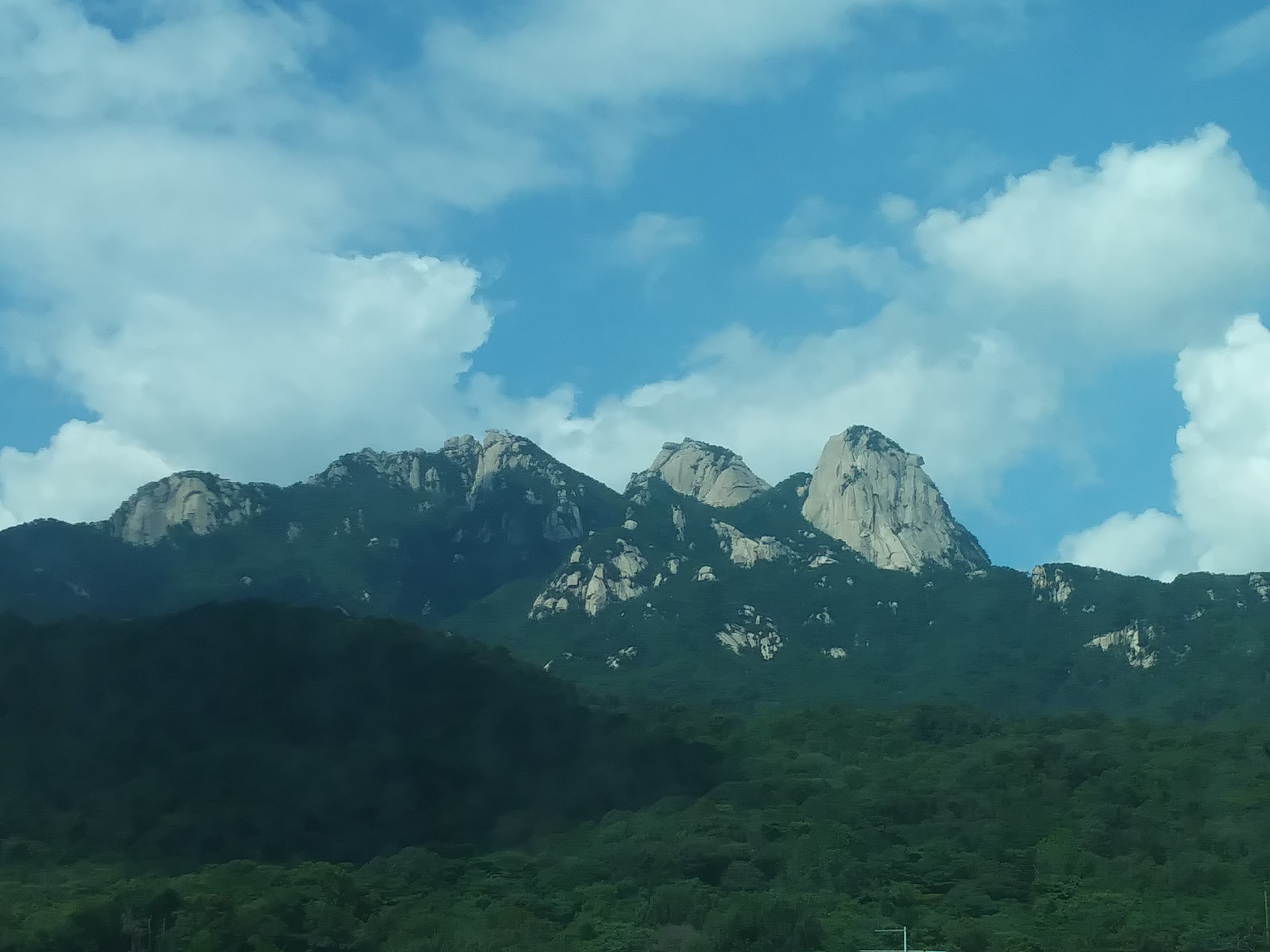 작성자 프로필 이미지