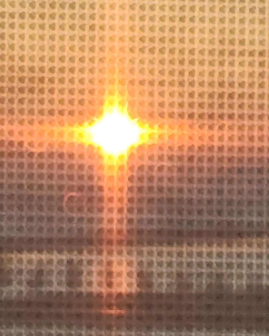 작성자 프로필 이미지