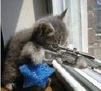 작성자 프로필 이미지