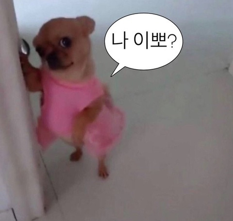 작성자 프로필 이미지