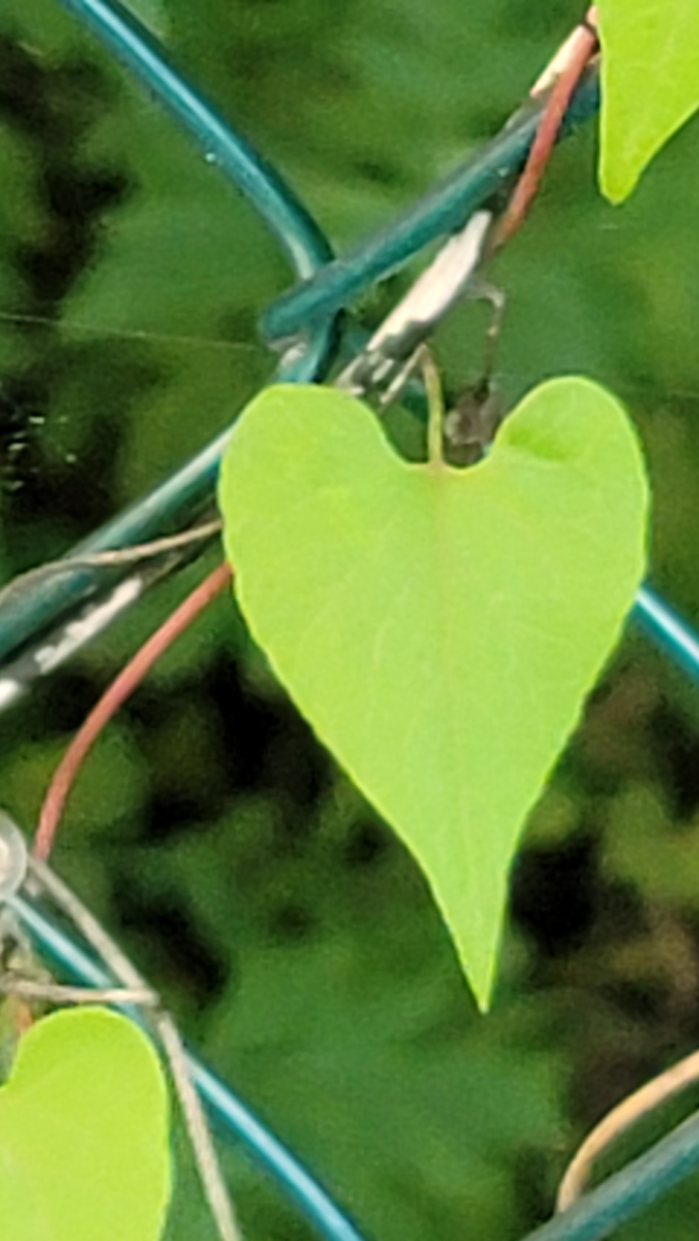 작성자 프로필 이미지