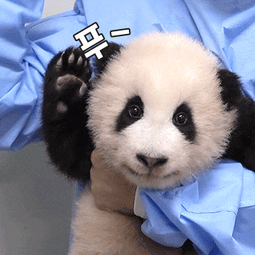 작성자 프로필 이미지