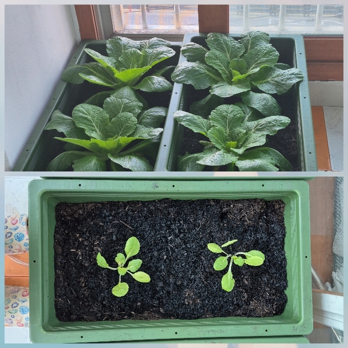 작성자 프로필 이미지