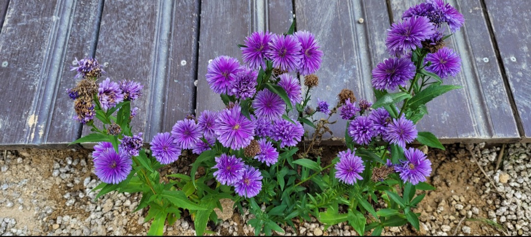 작성자 프로필 이미지