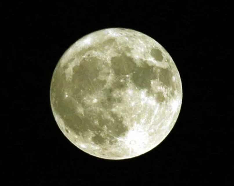 작성자 프로필 이미지