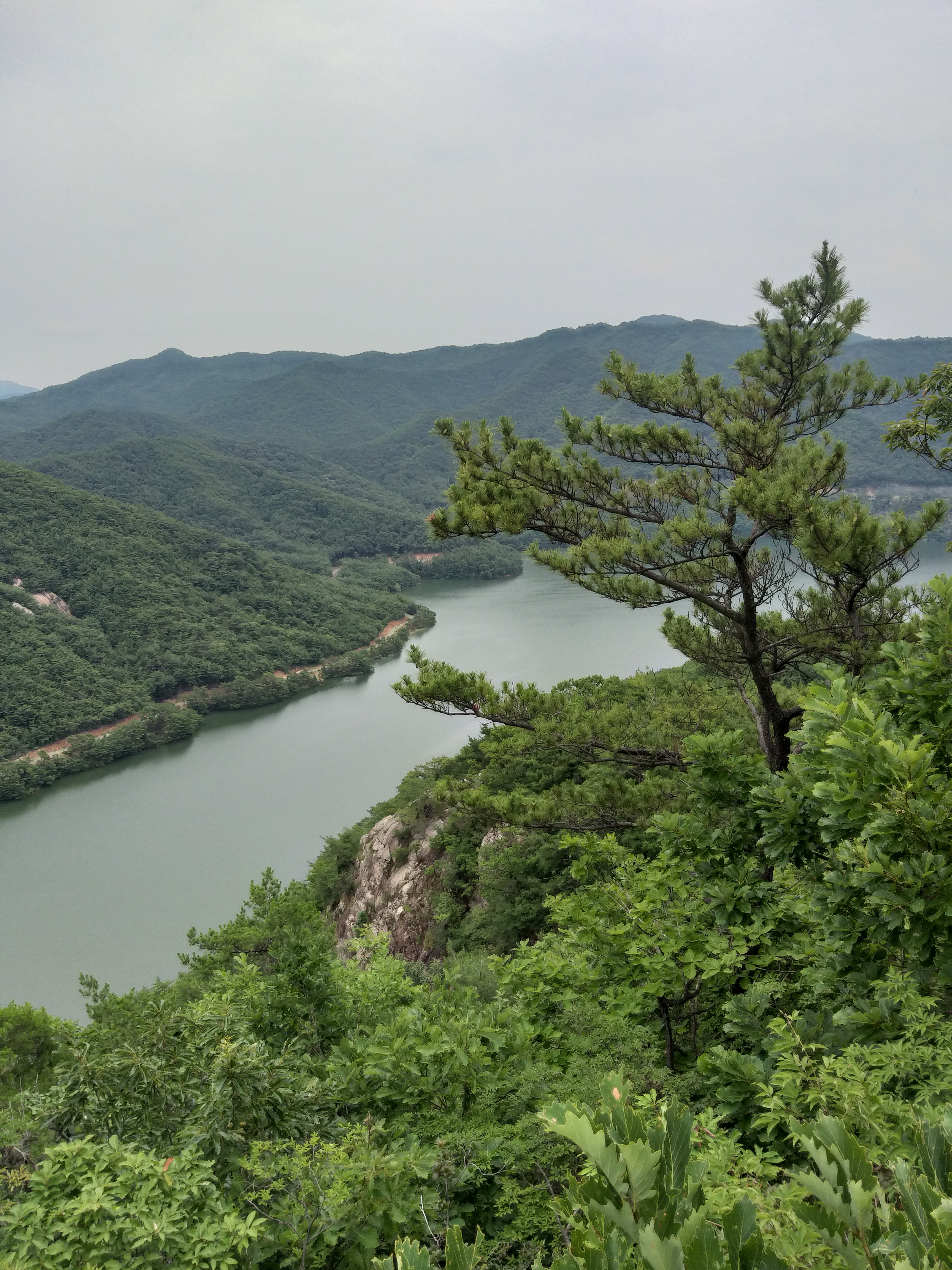 작성자 프로필 이미지