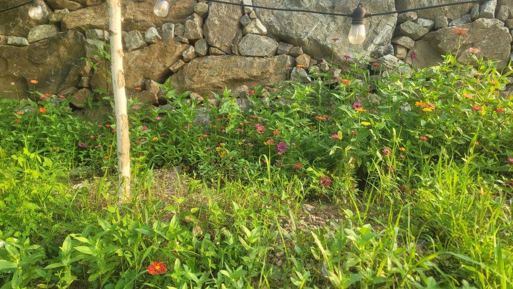 작성자 프로필 이미지