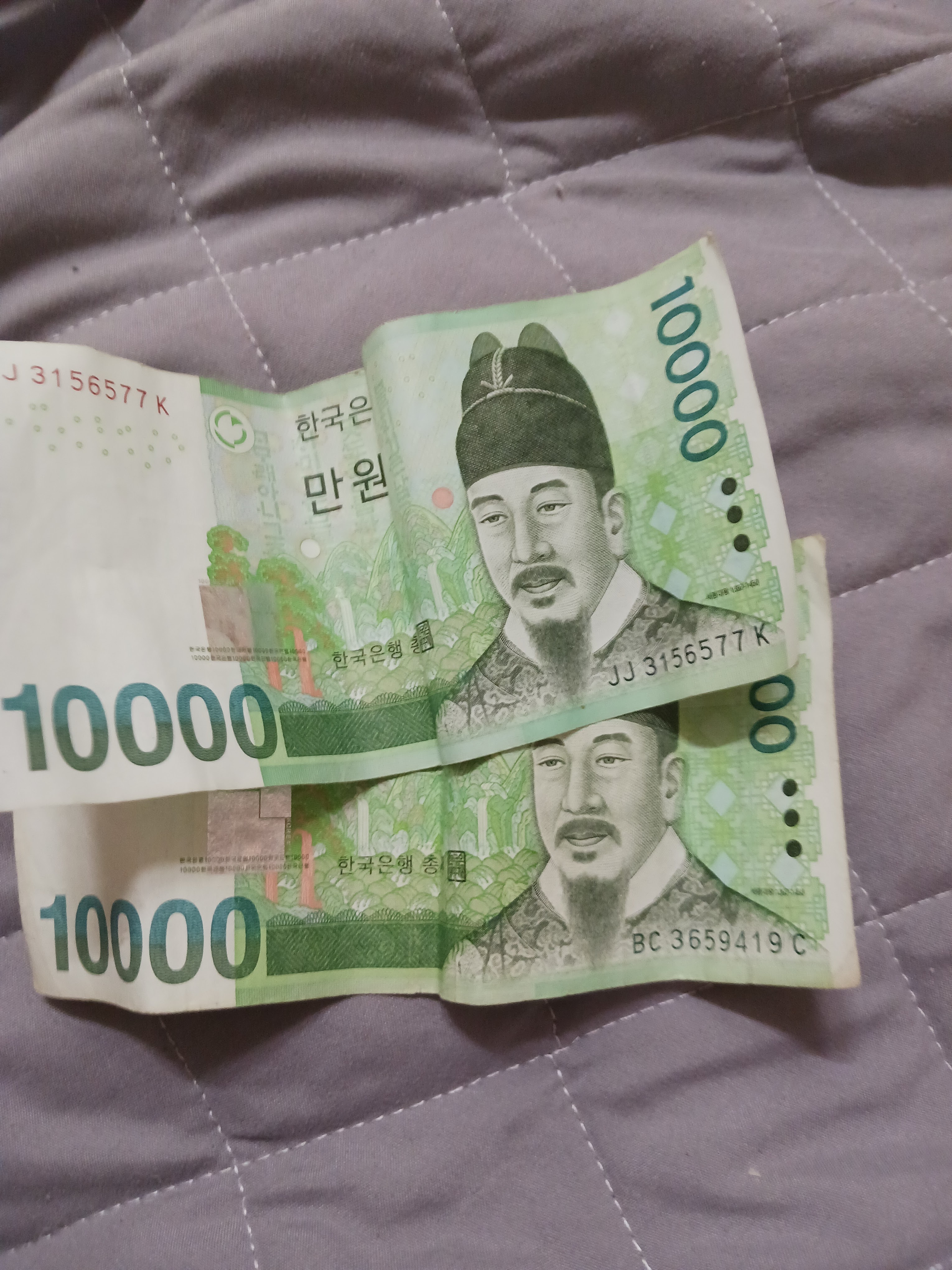 작성자 프로필 이미지