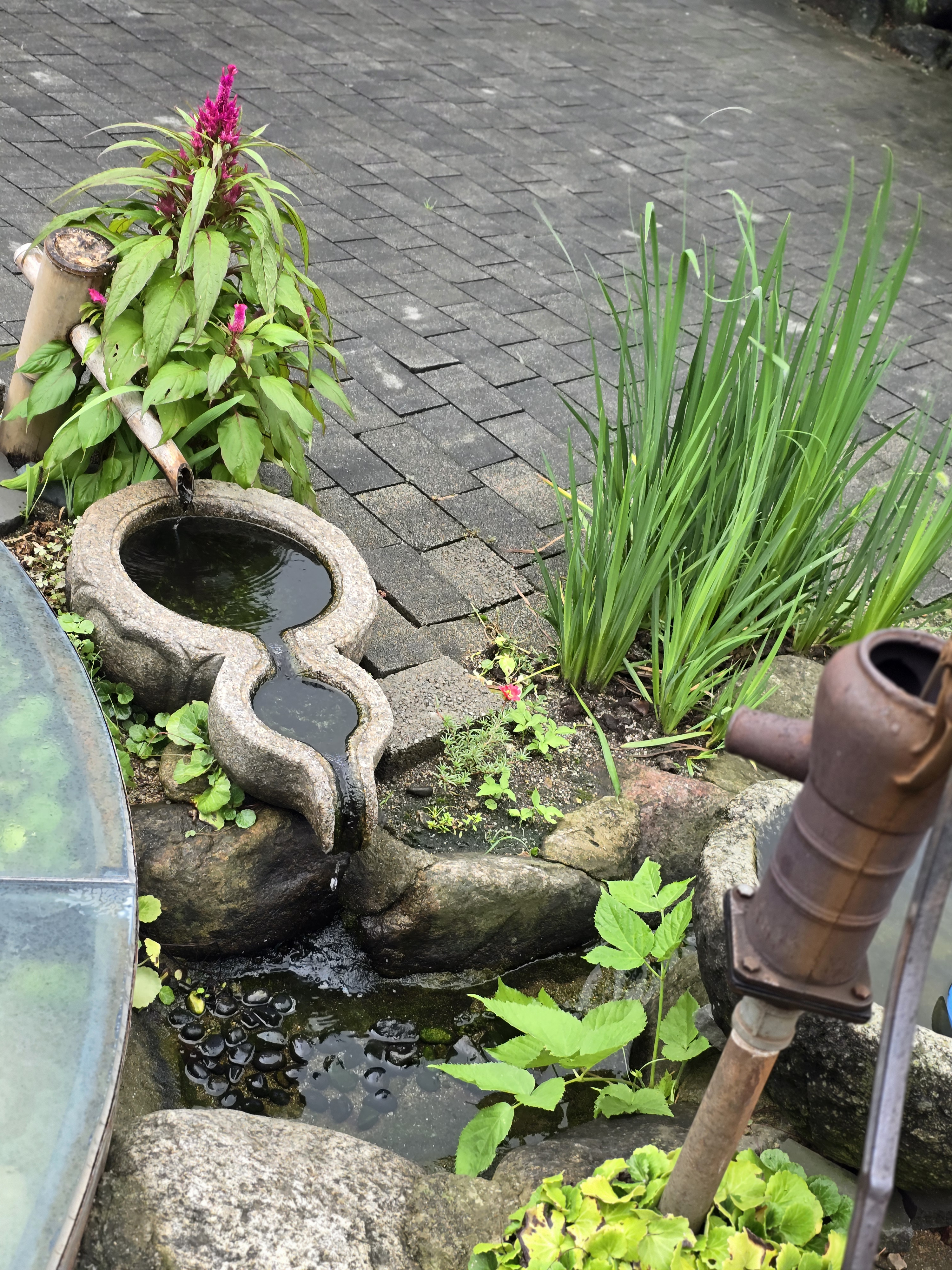 작성자 프로필 이미지