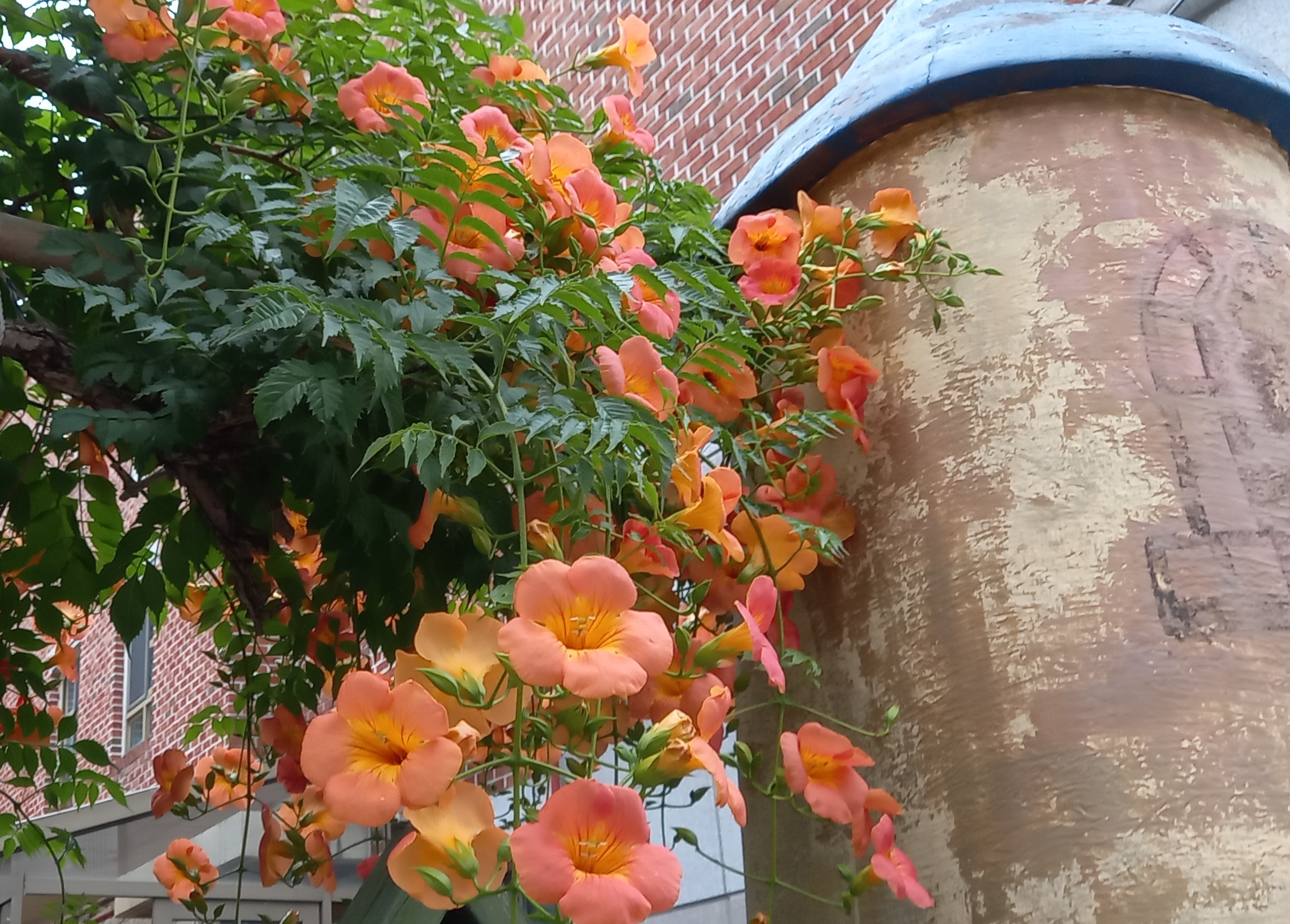 작성자 프로필 이미지