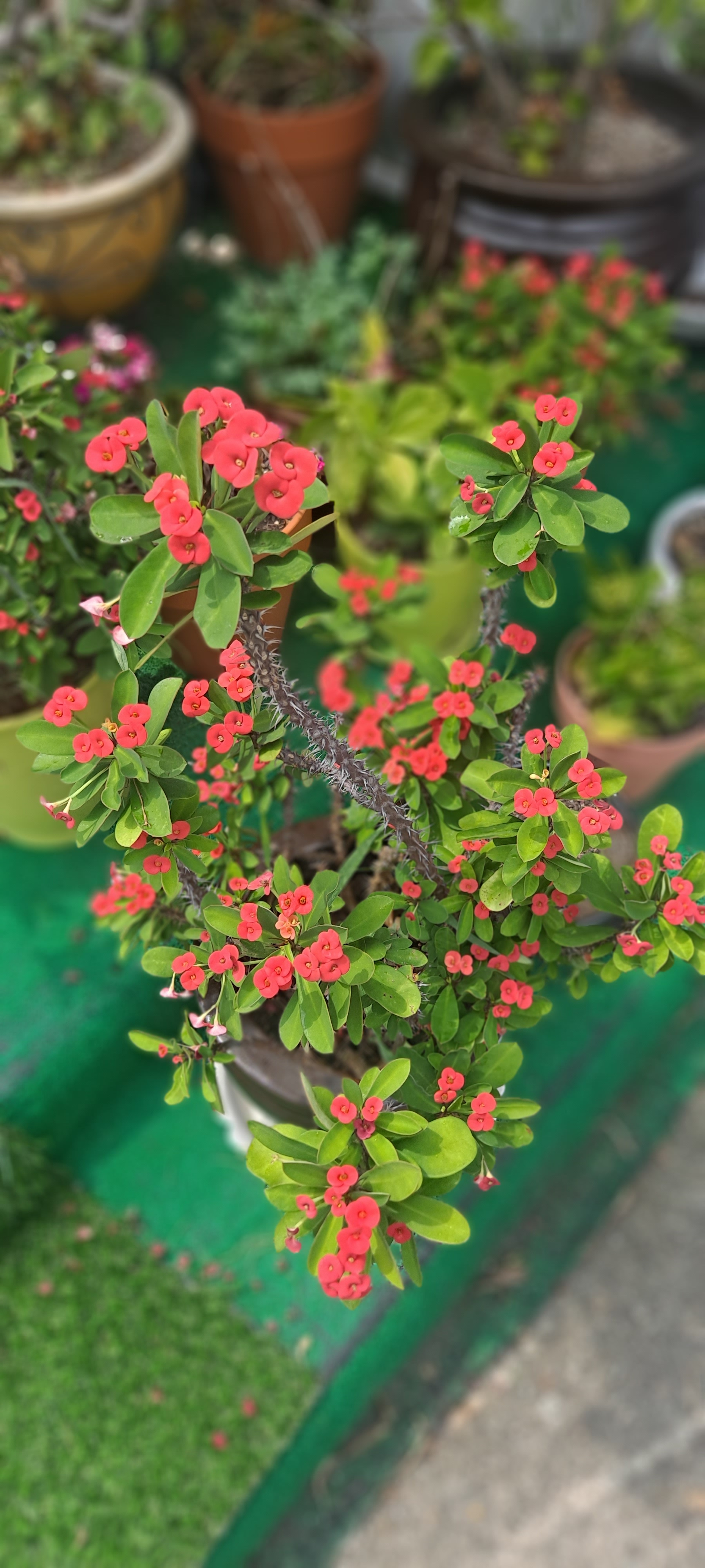 작성자 프로필 이미지